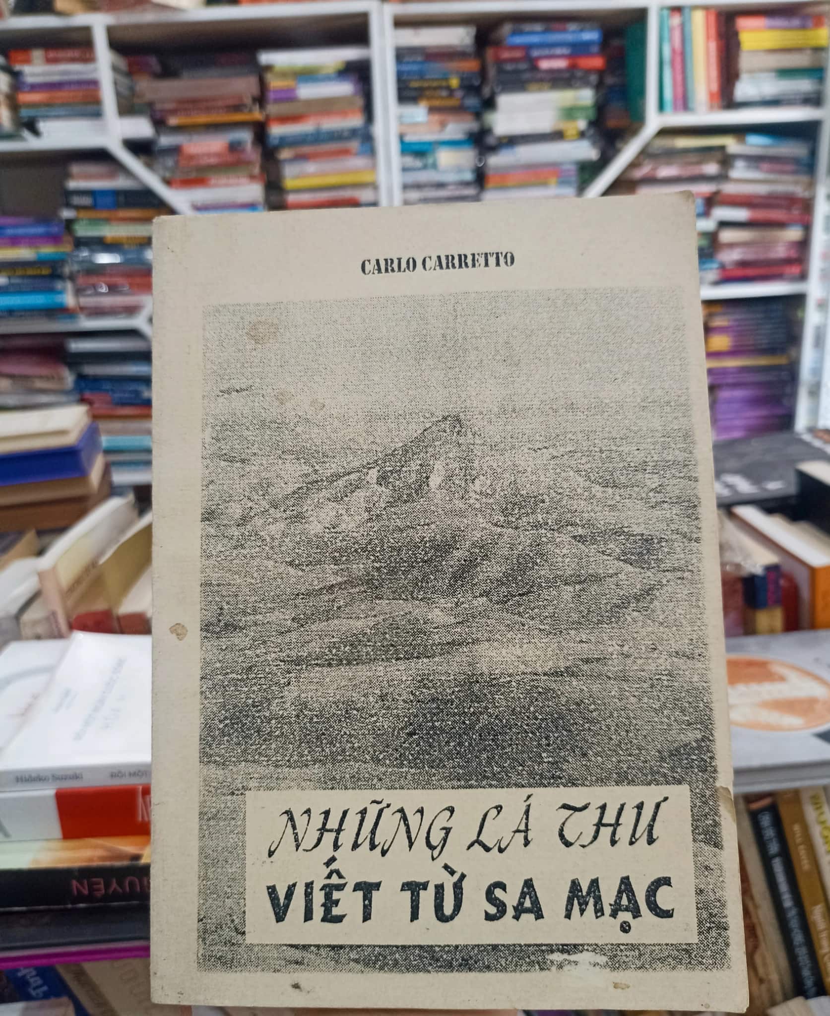 Những lá thư viết từ sa mạc 