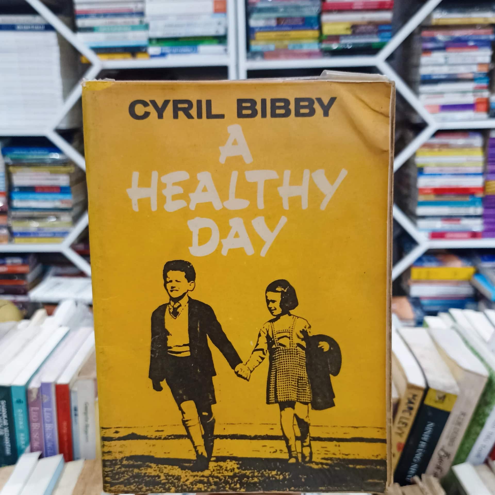 A Healthy Day