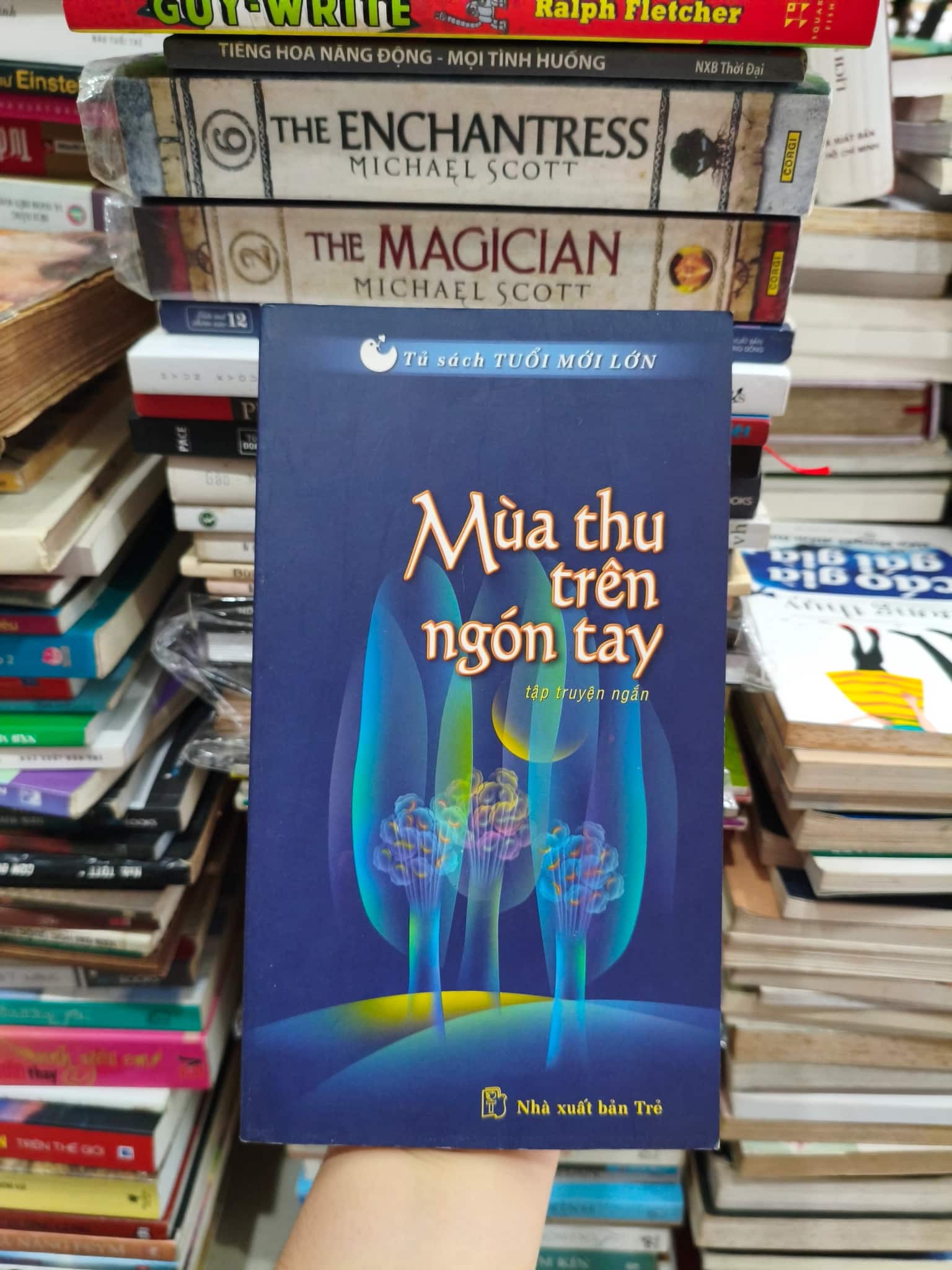 Mùa thu trên ngọn cây 