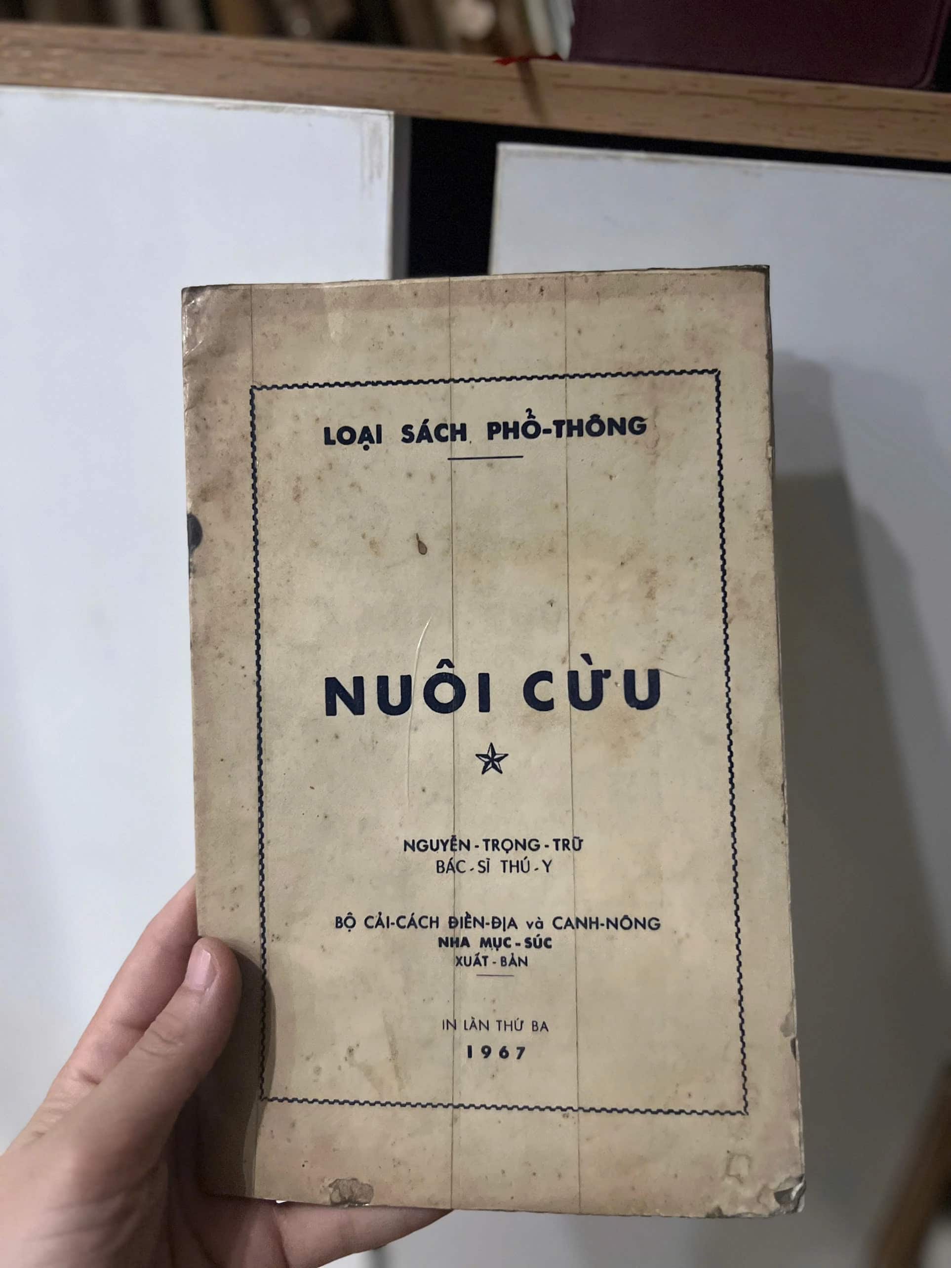 Nuôi Cừu 1967