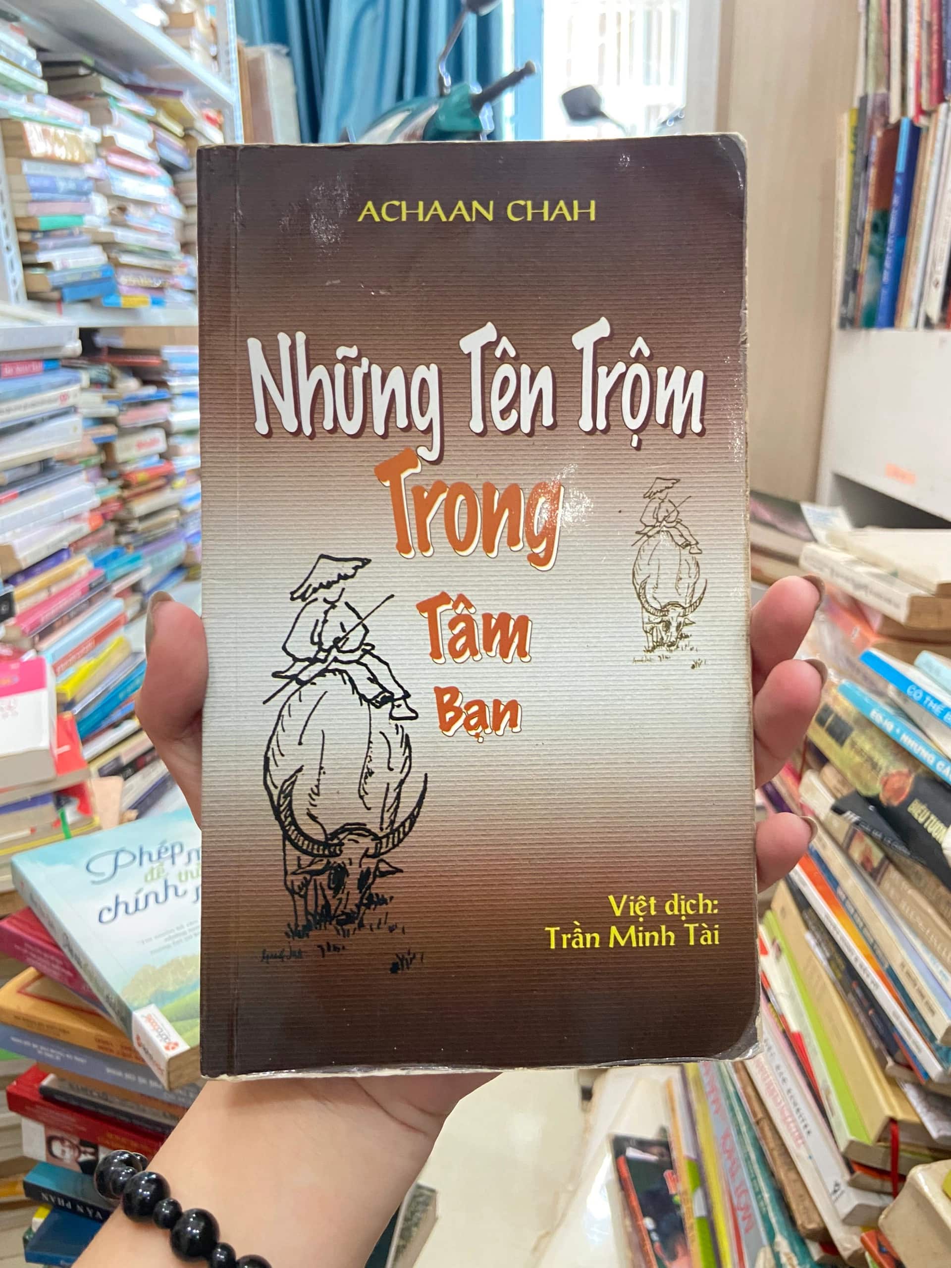 Những Tên Trộm Trong Tâm Bạn