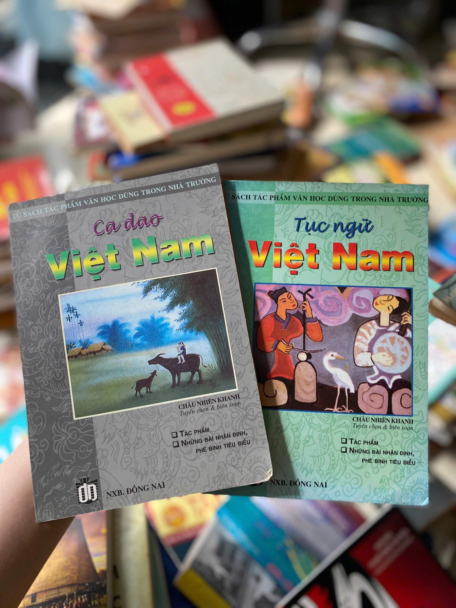 Ca Dao - Tục Ngữ Việt Nam