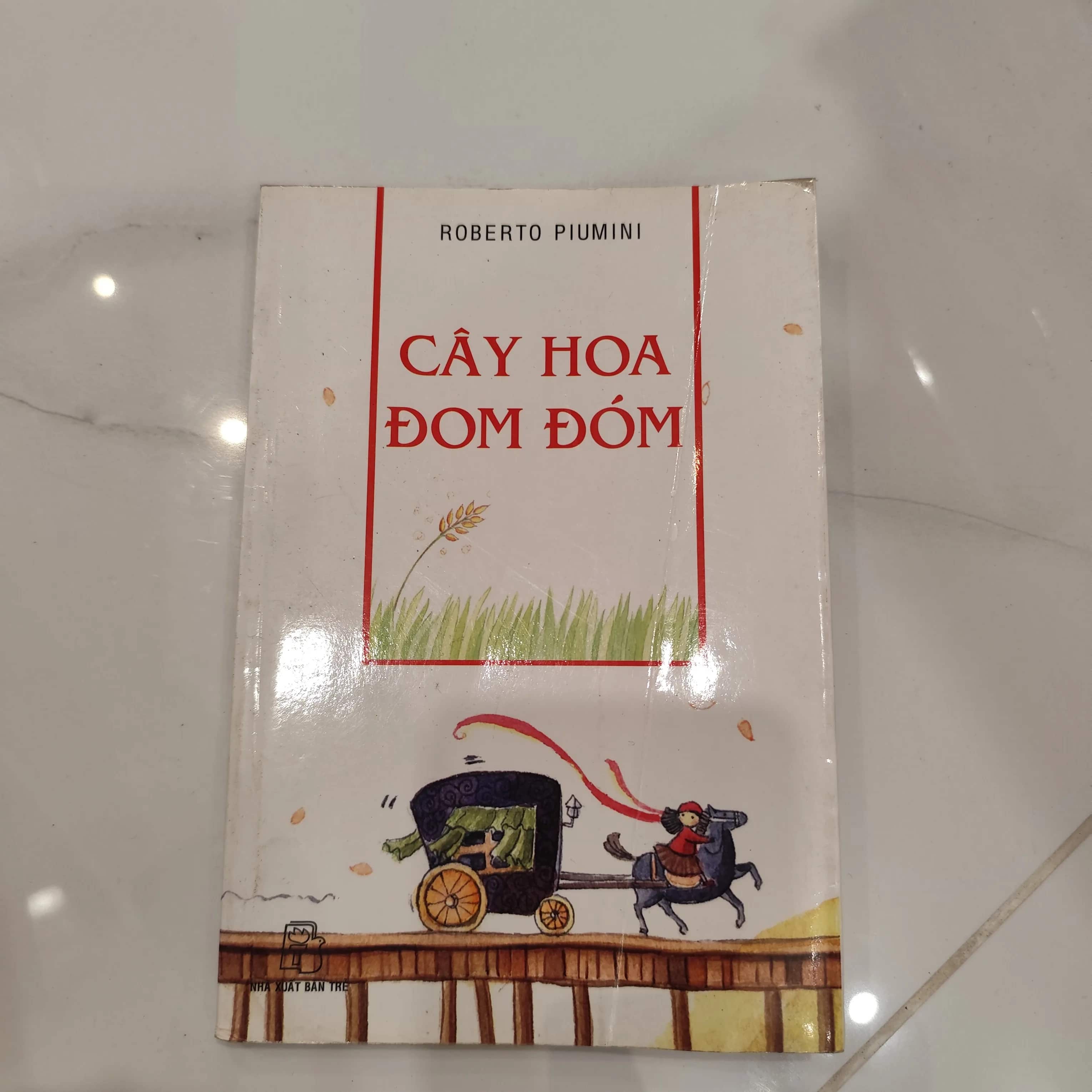 Cây hoa đom đóm
