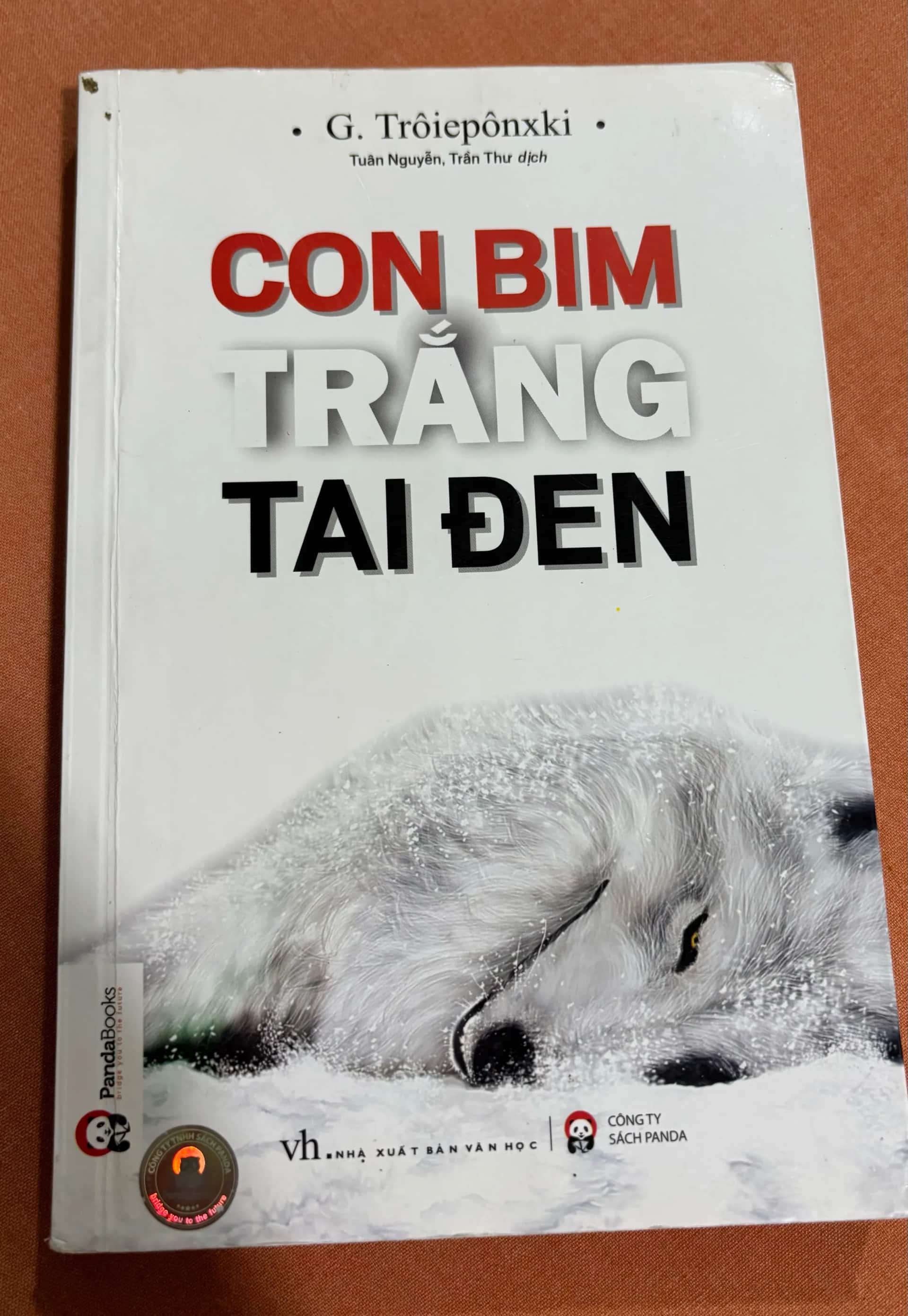 Con bim trắng tai đen