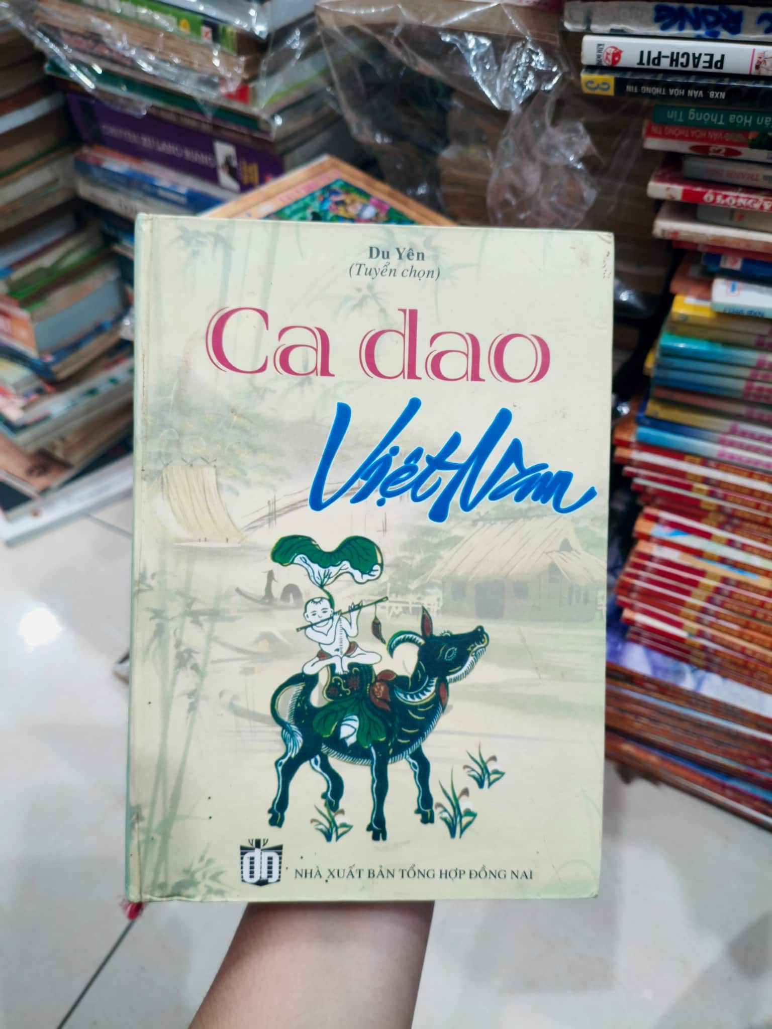 Cà dao Việt Nam 