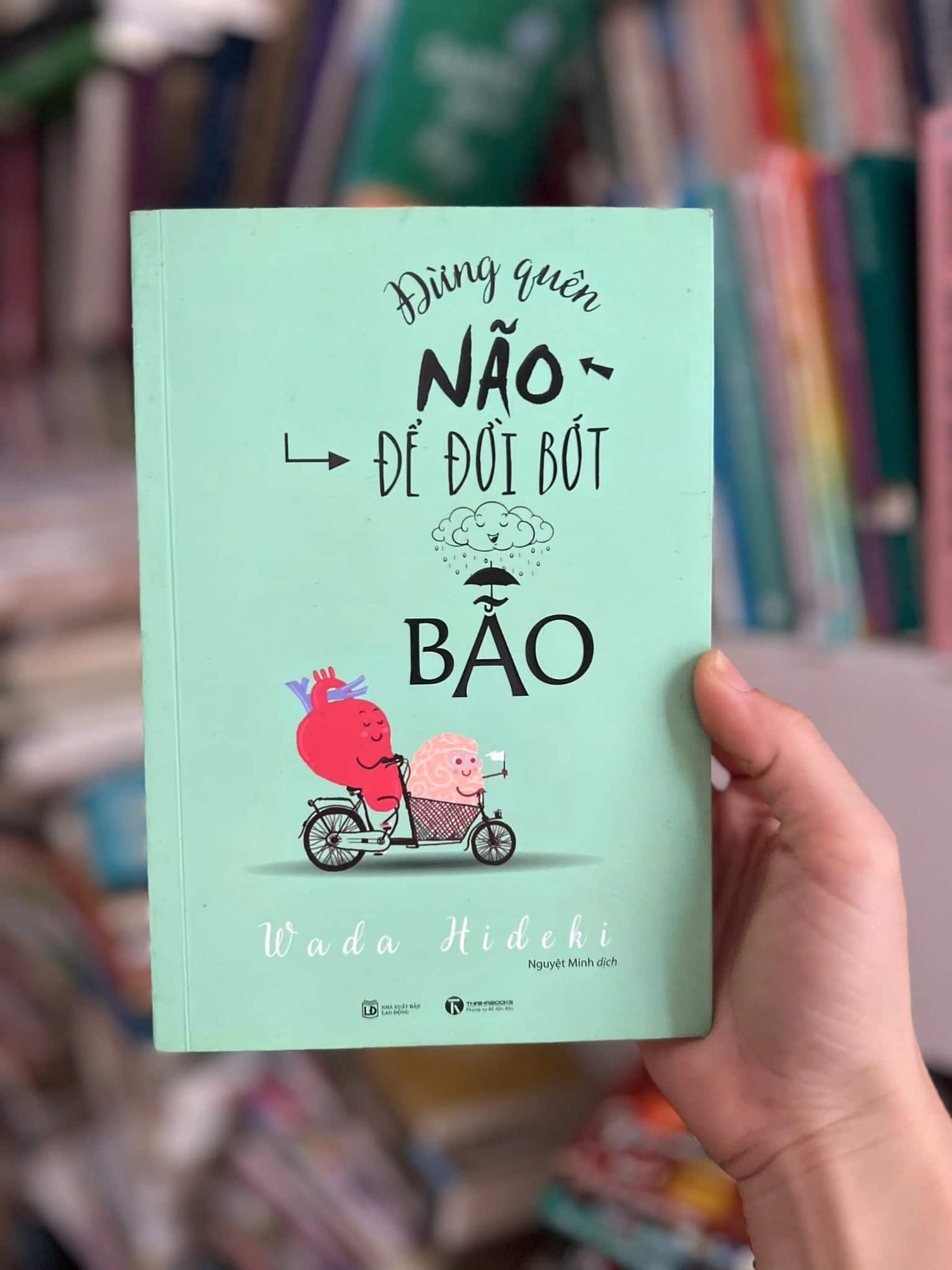 Đừng quên não để bớt bão