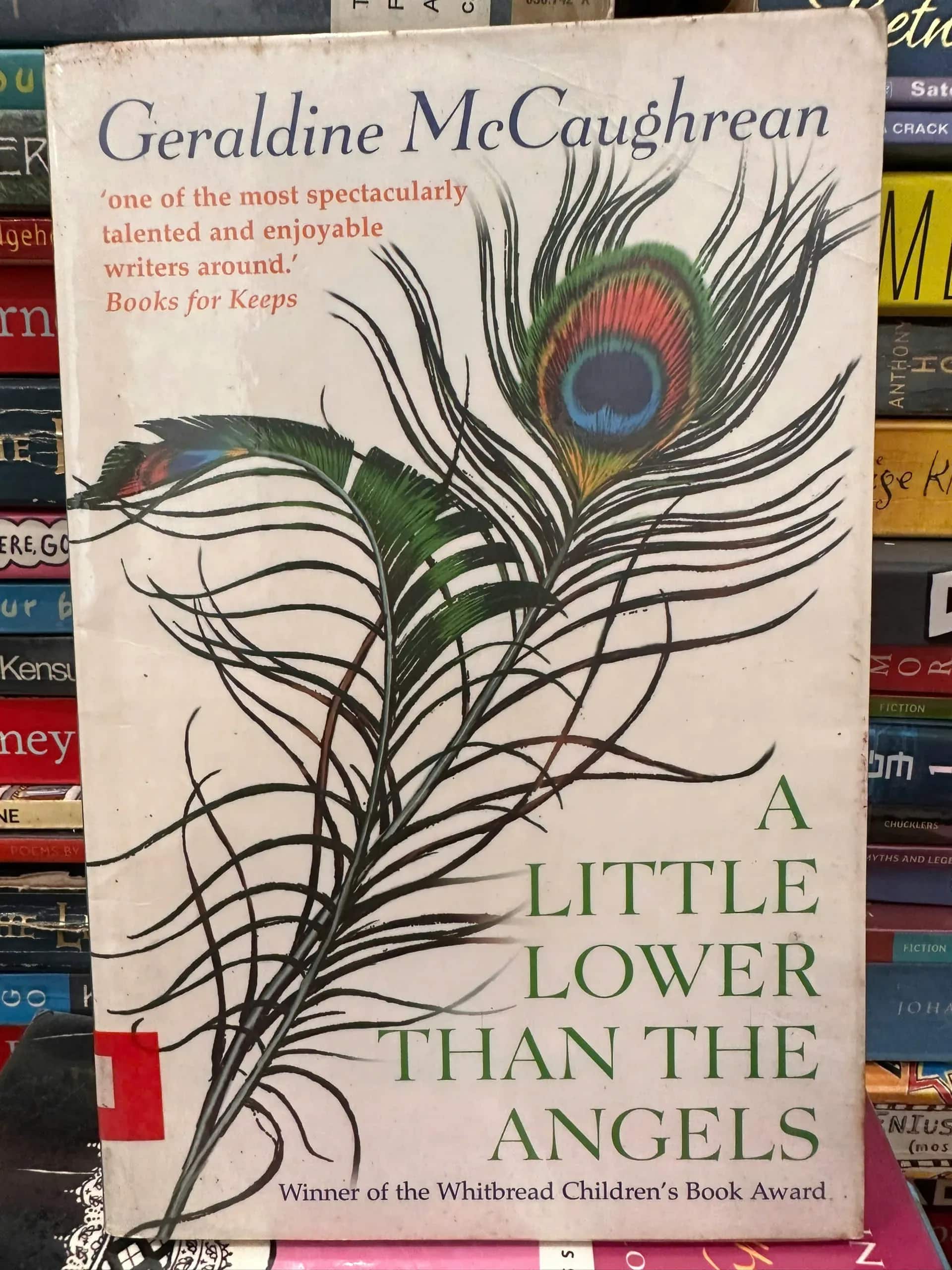 A Little Lower Than the Angels by Geraldine McCaughream