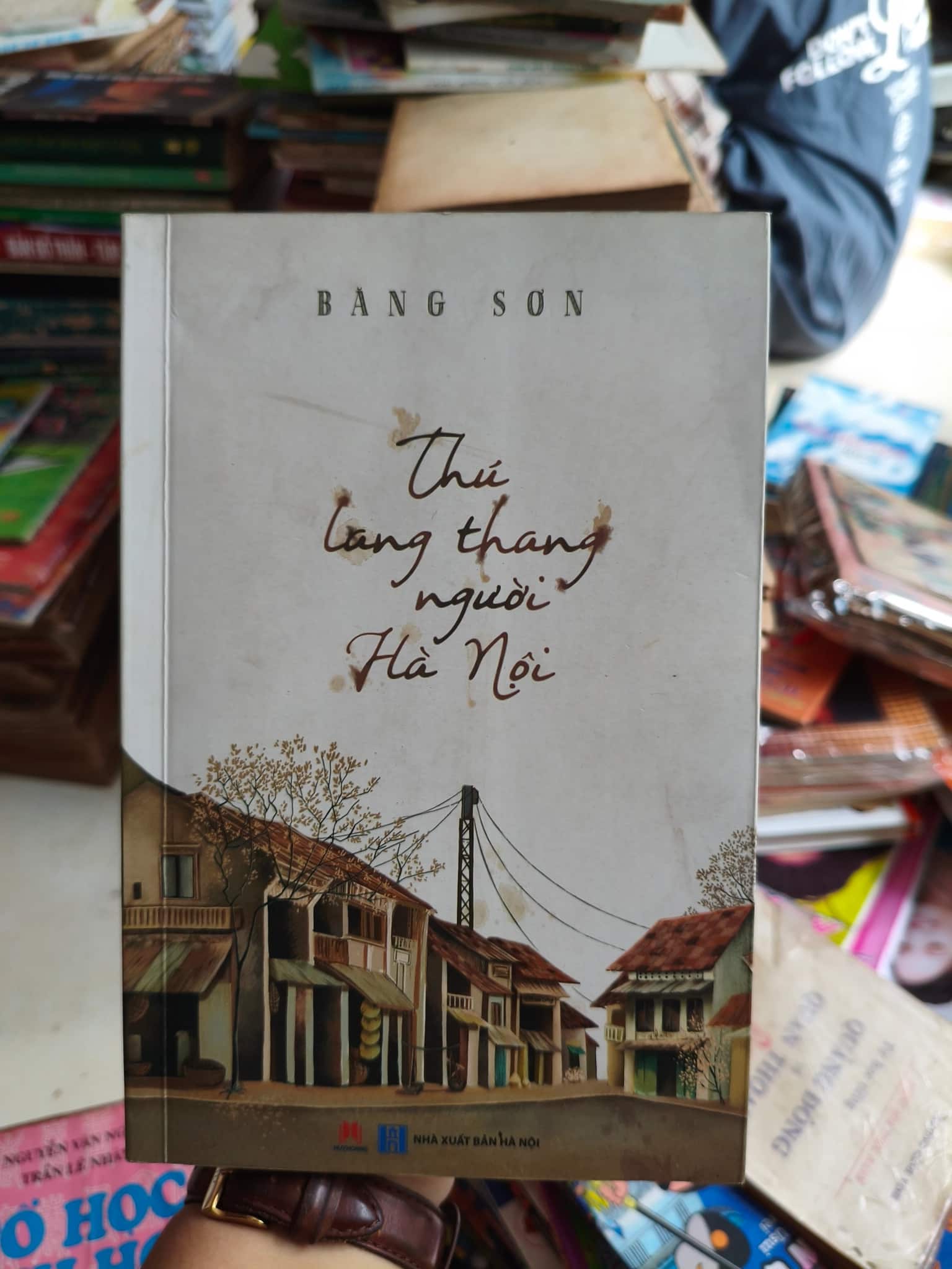 Thú lằng thang ngoài Hà Nội 