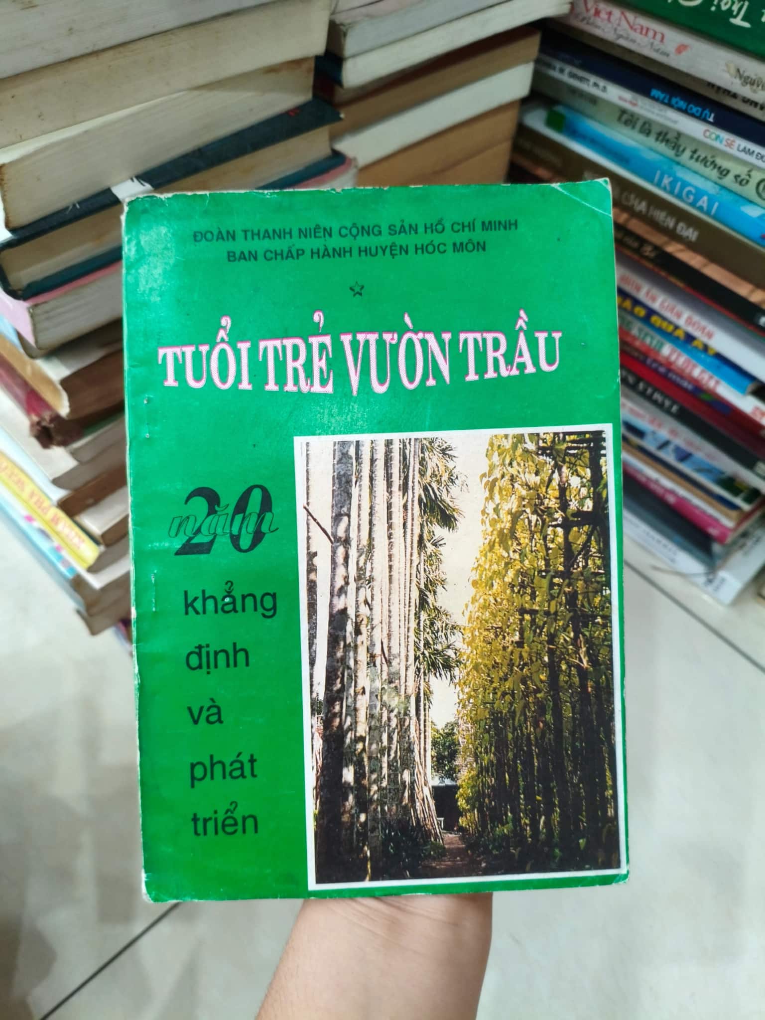 Tuổi trẻ vườn trầu 
