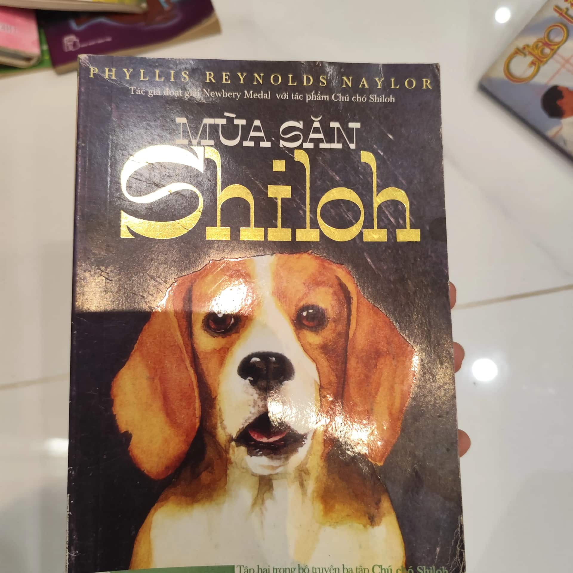 Mùa săn Shiloh