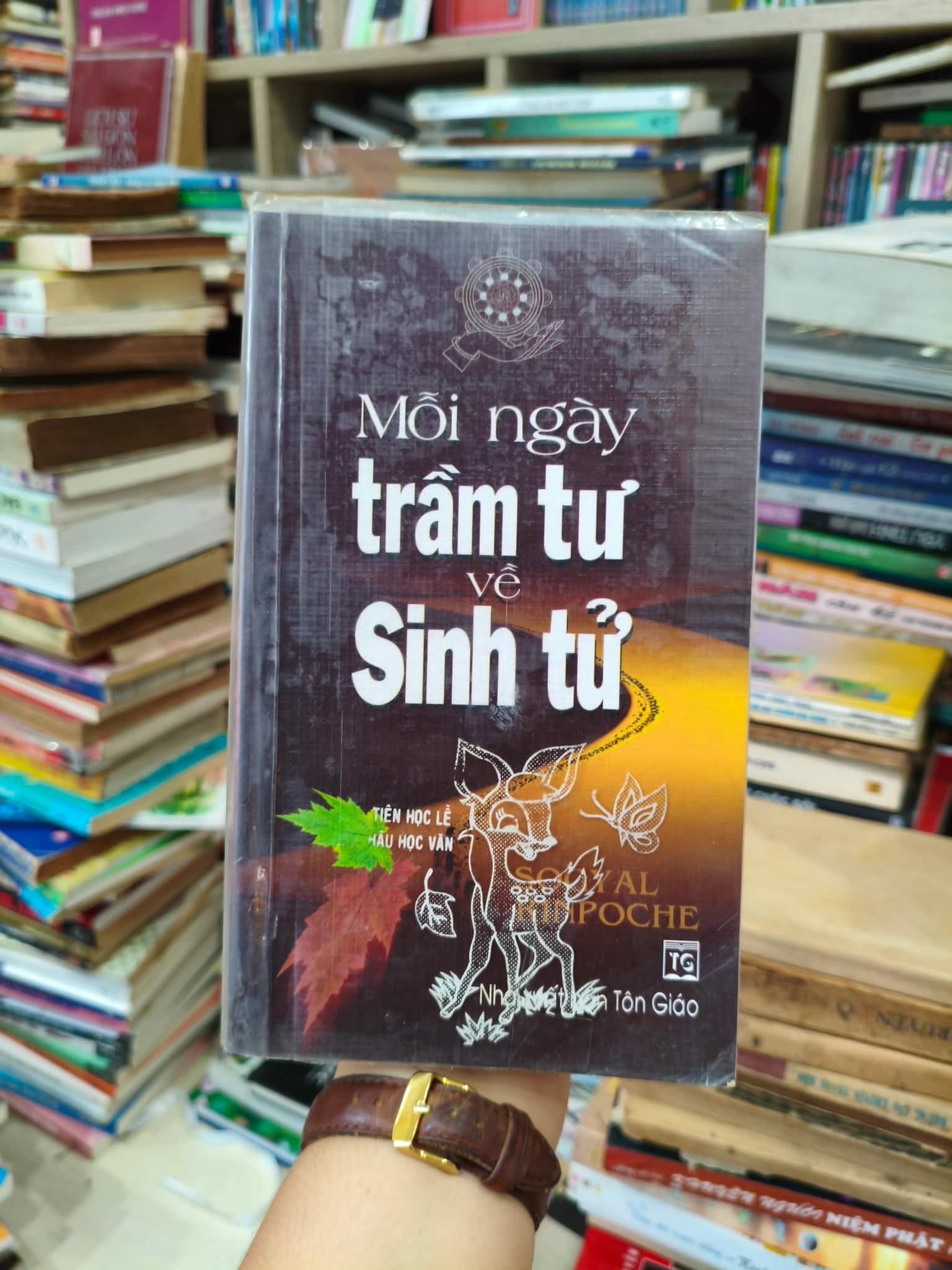 Mỗi ngày trầm tư về sinh tử 