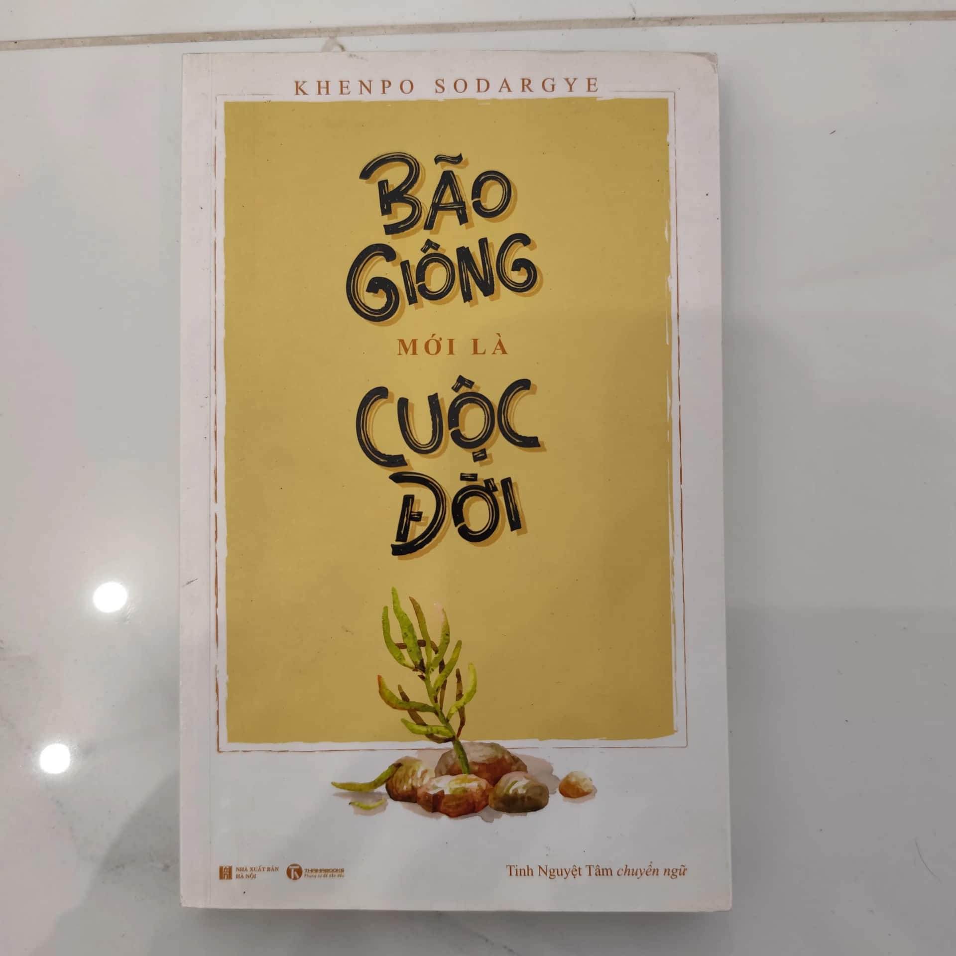 Bão giông mới là cuộc đời