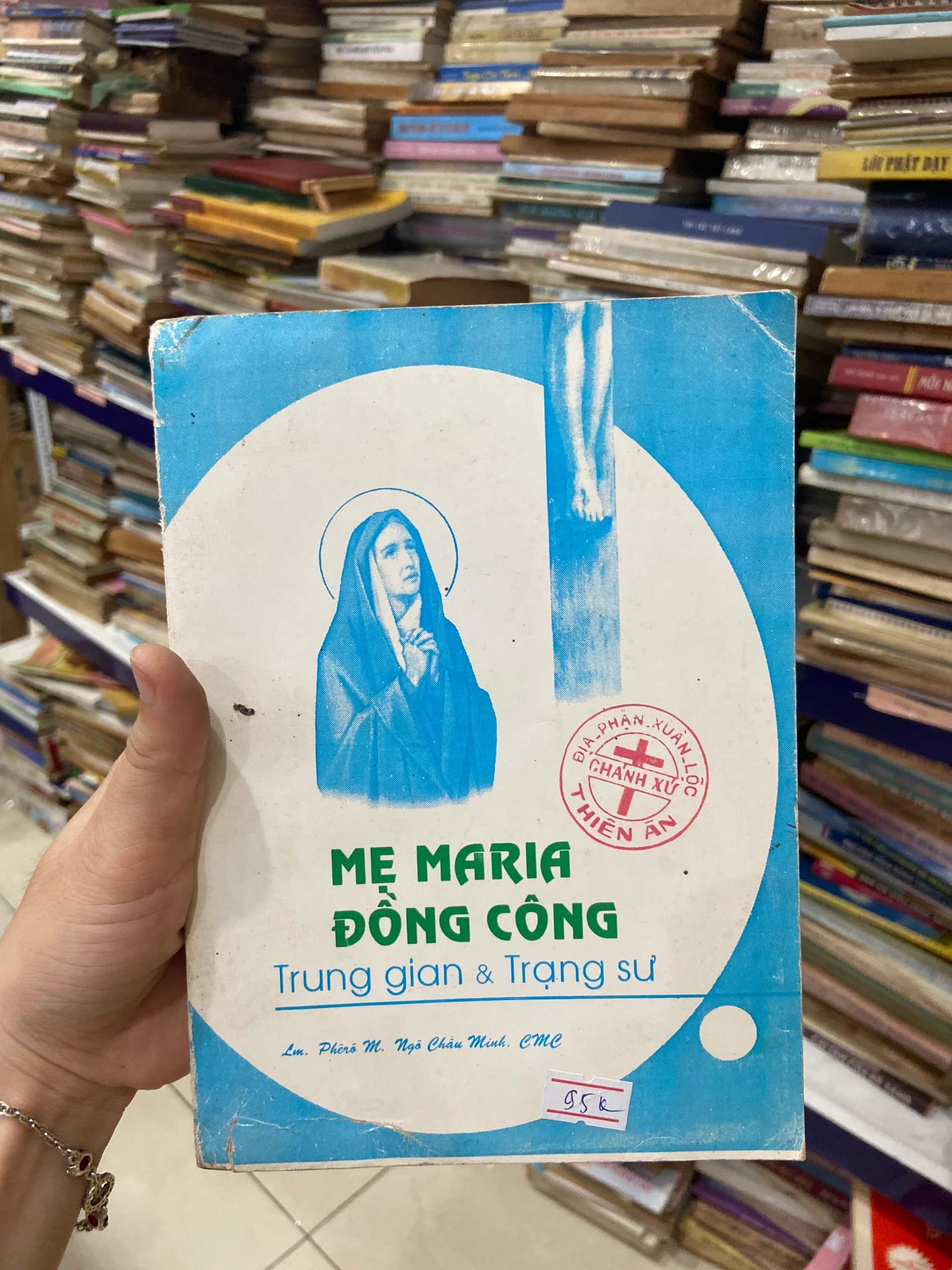Mẹ Maria Đồng Công Trung Gian Và Trạng Sư