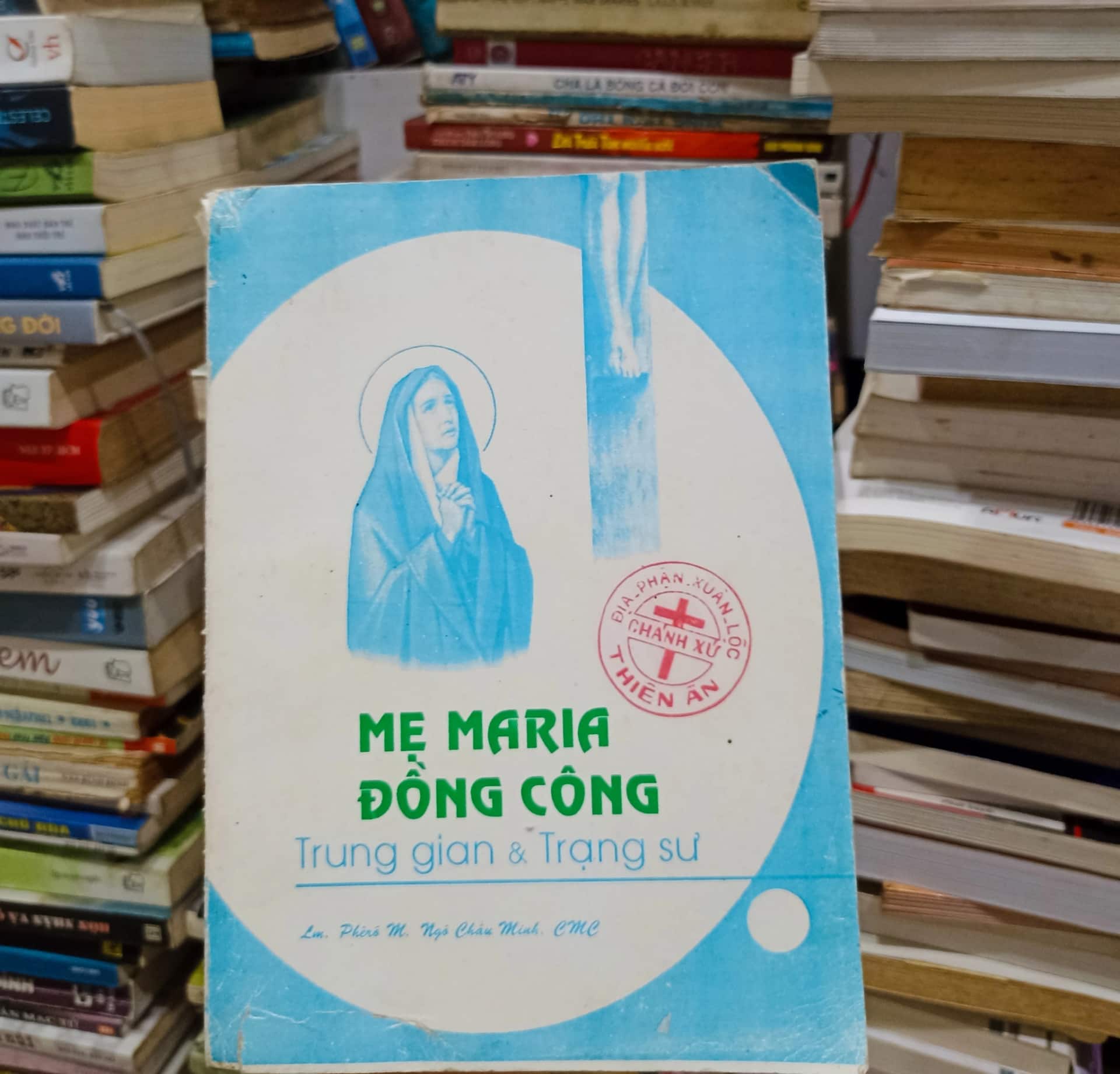 Mẹ Maria đồng công