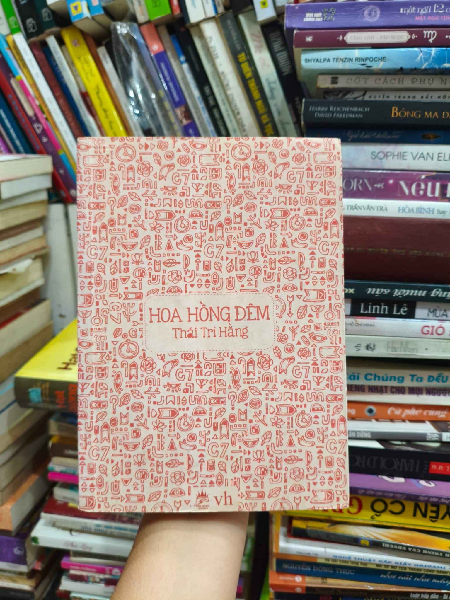 Hoa hồng đêm 