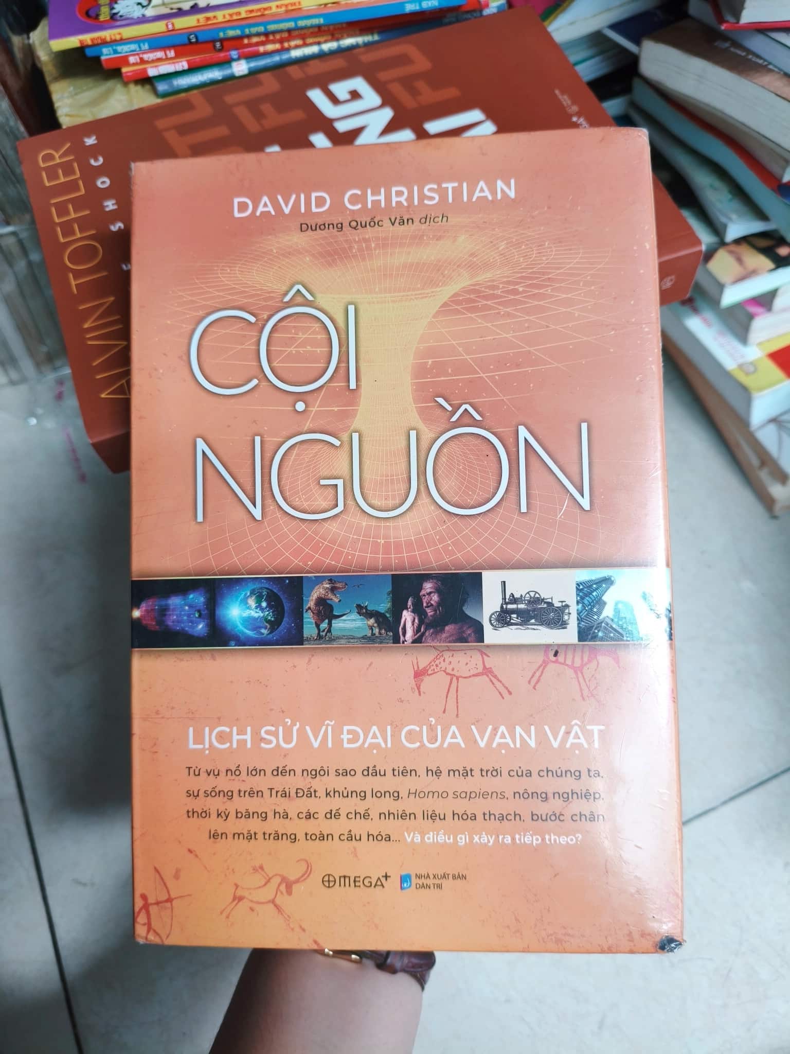Cội nguồn 