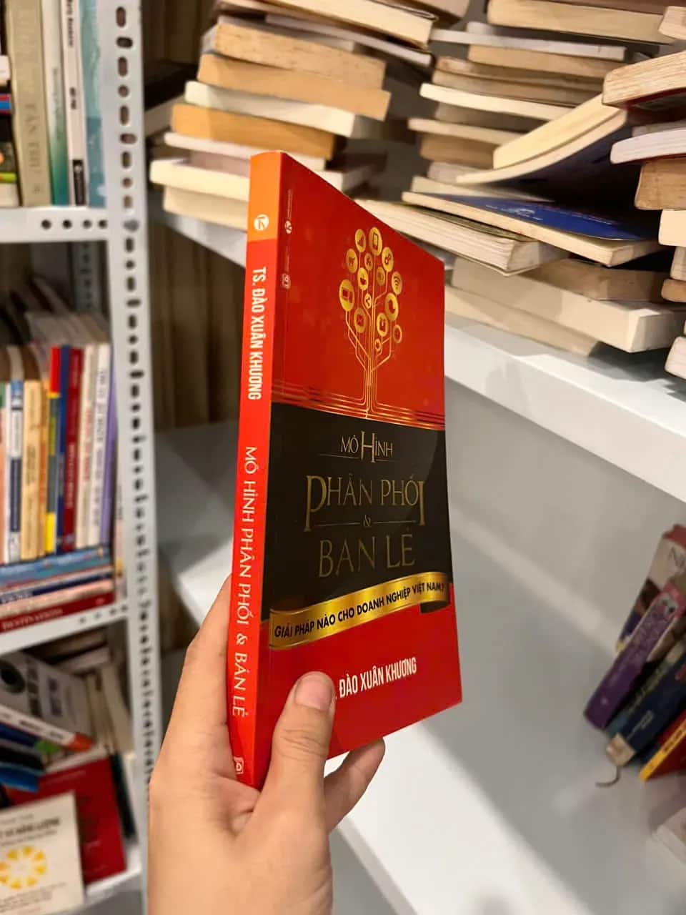 Mô Hình Phân Phối Và Bán Lẻ