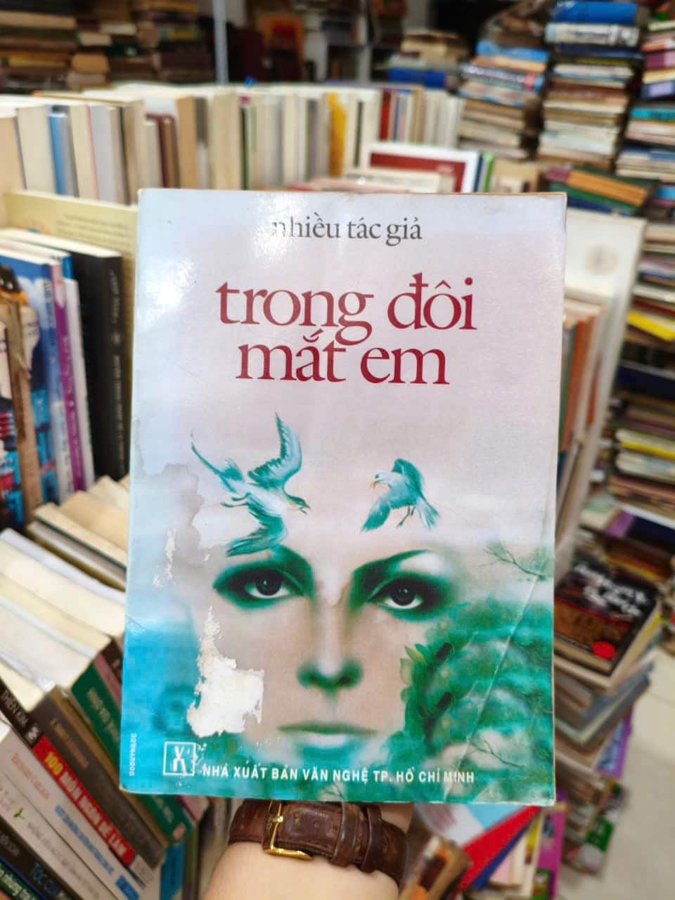 Trong Đôi Mắt Em