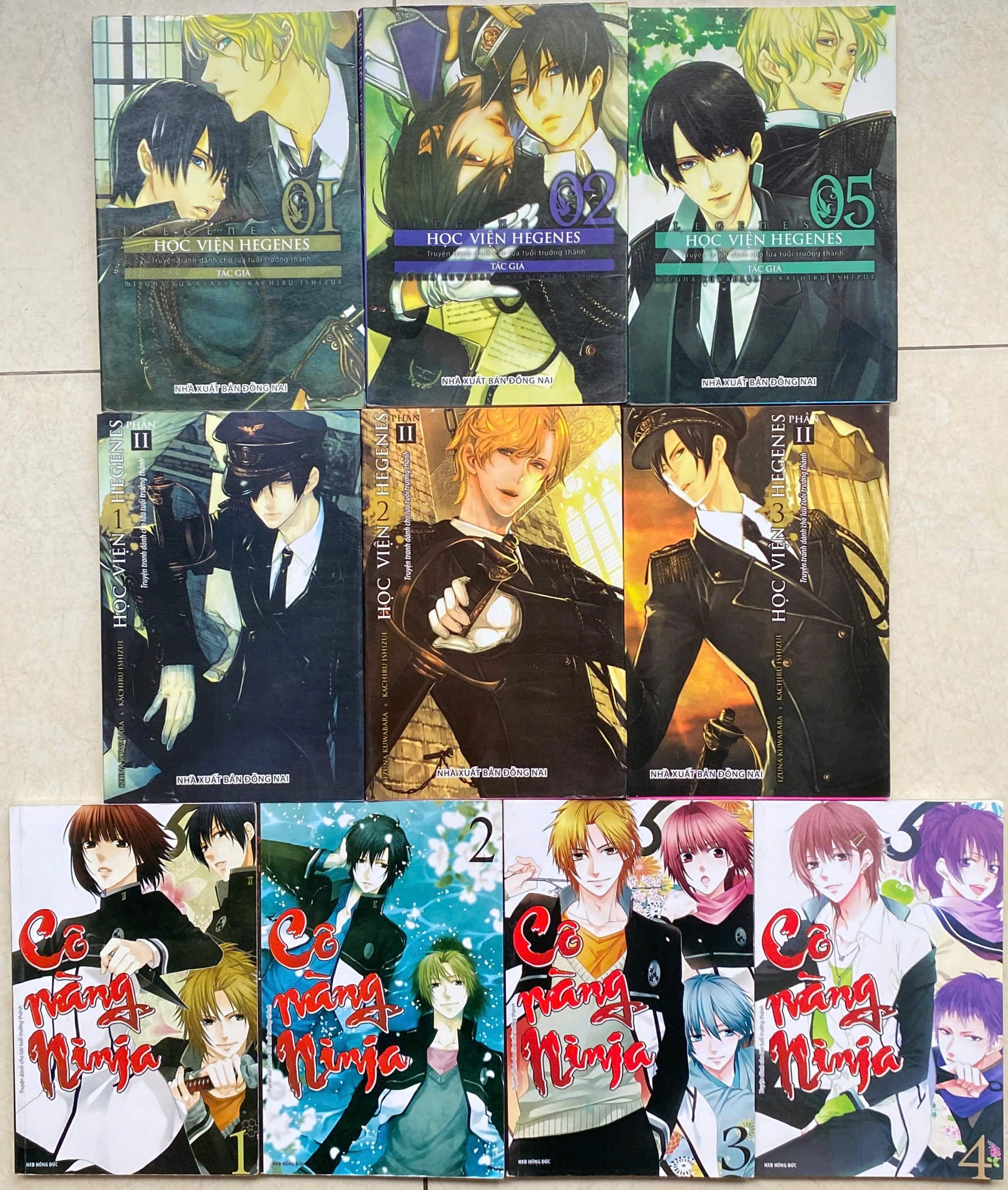 Học Viện Hegenes, Cô nàng Ninja