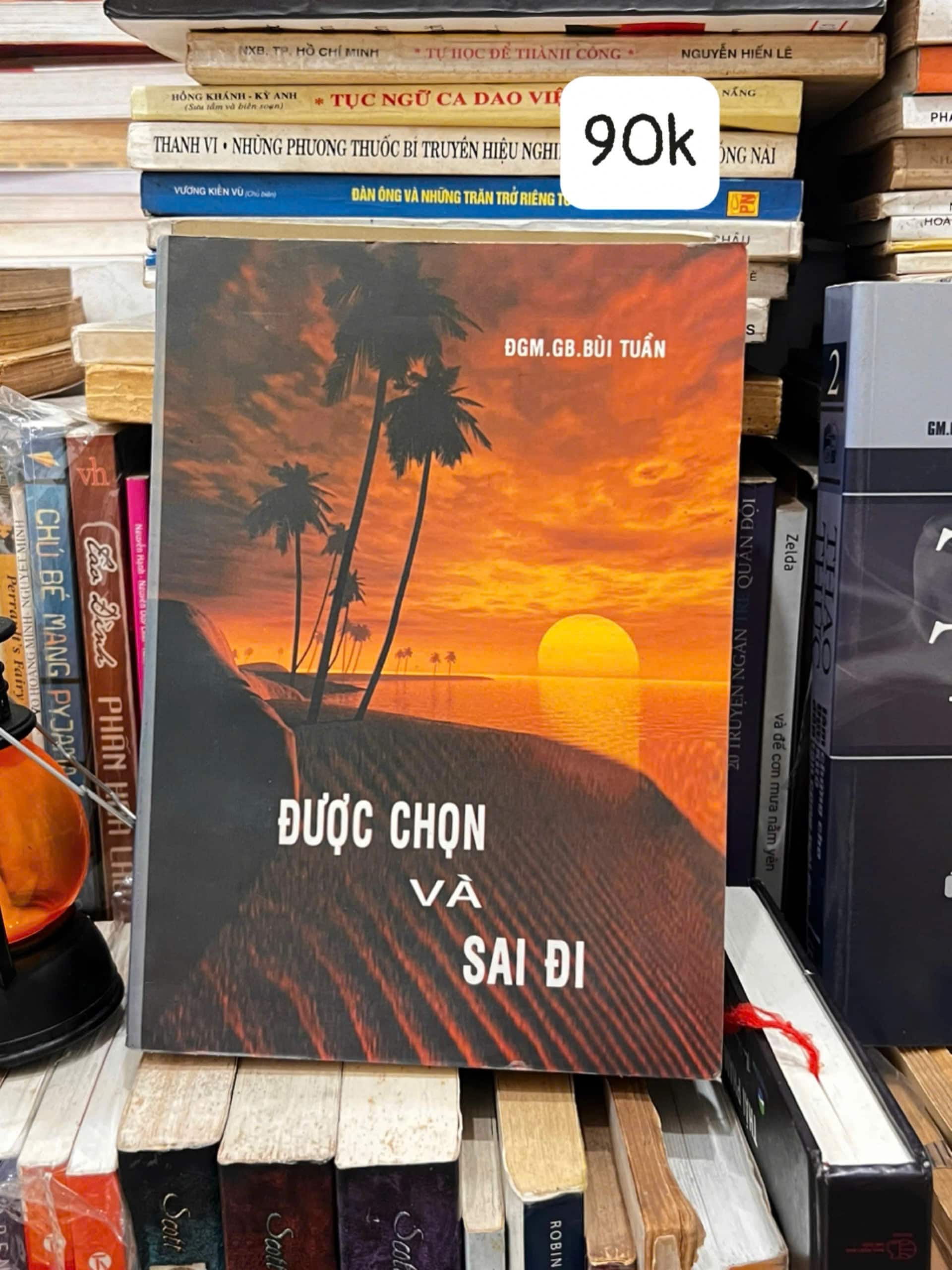 Được chọn và sai đi - ĐGM.GB. Bùi Tuấn