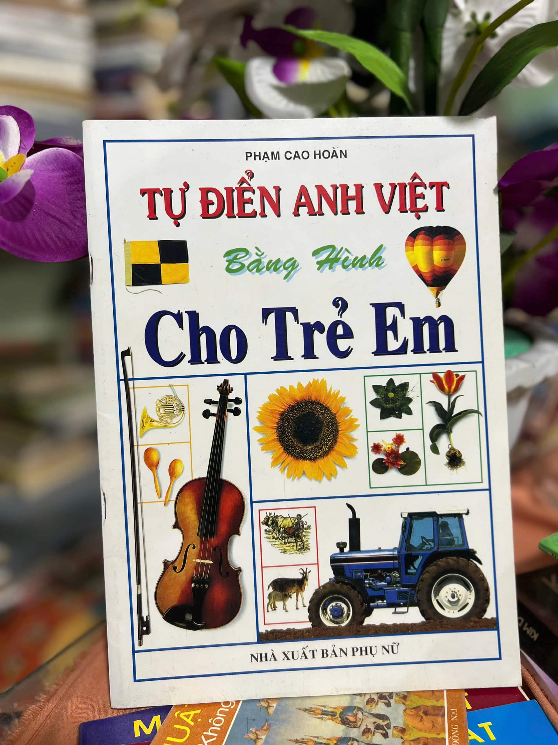 Từ điển Anh Việt bằng hình cho trẻ em