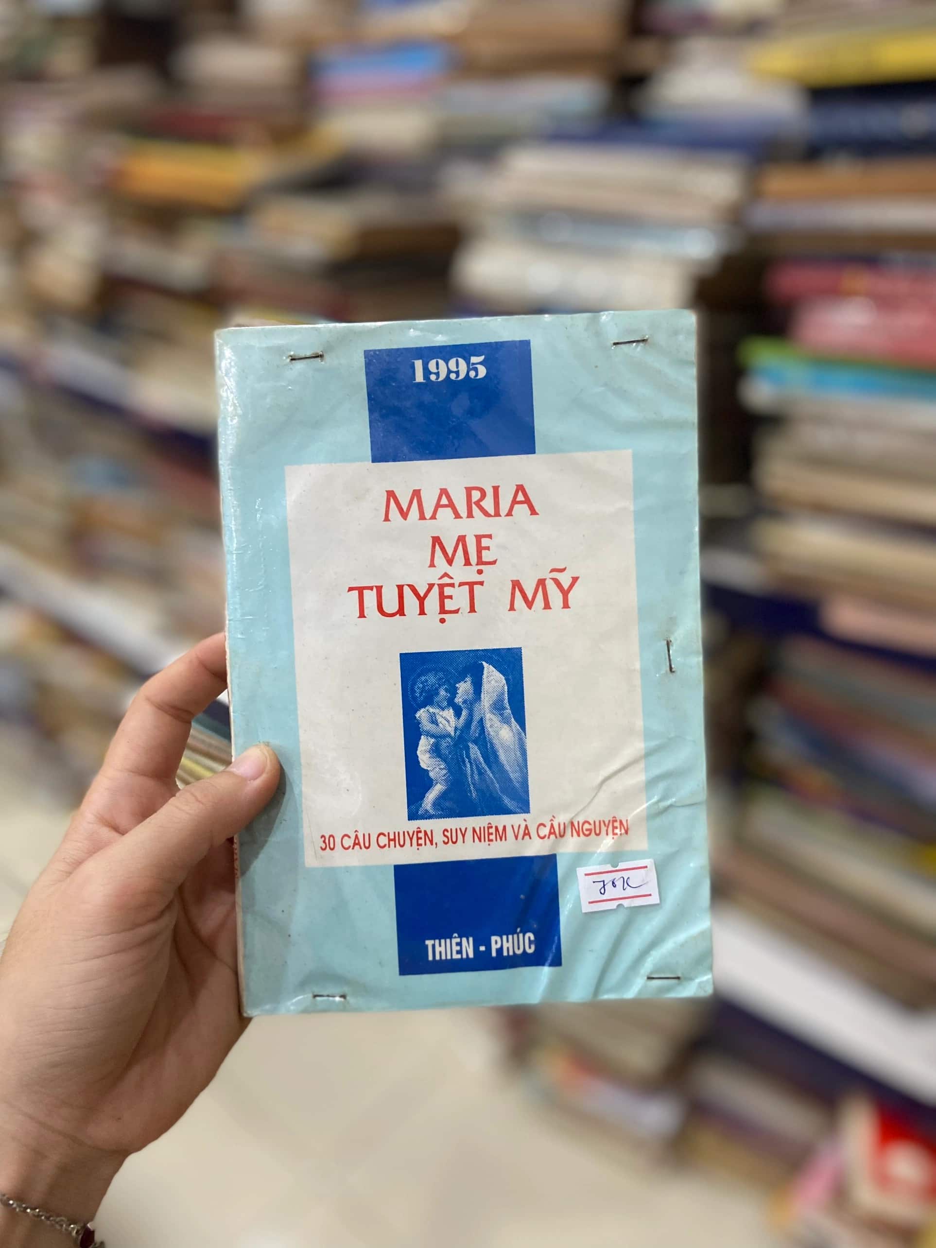 Maria Mẹ Tuyệt Mỹ