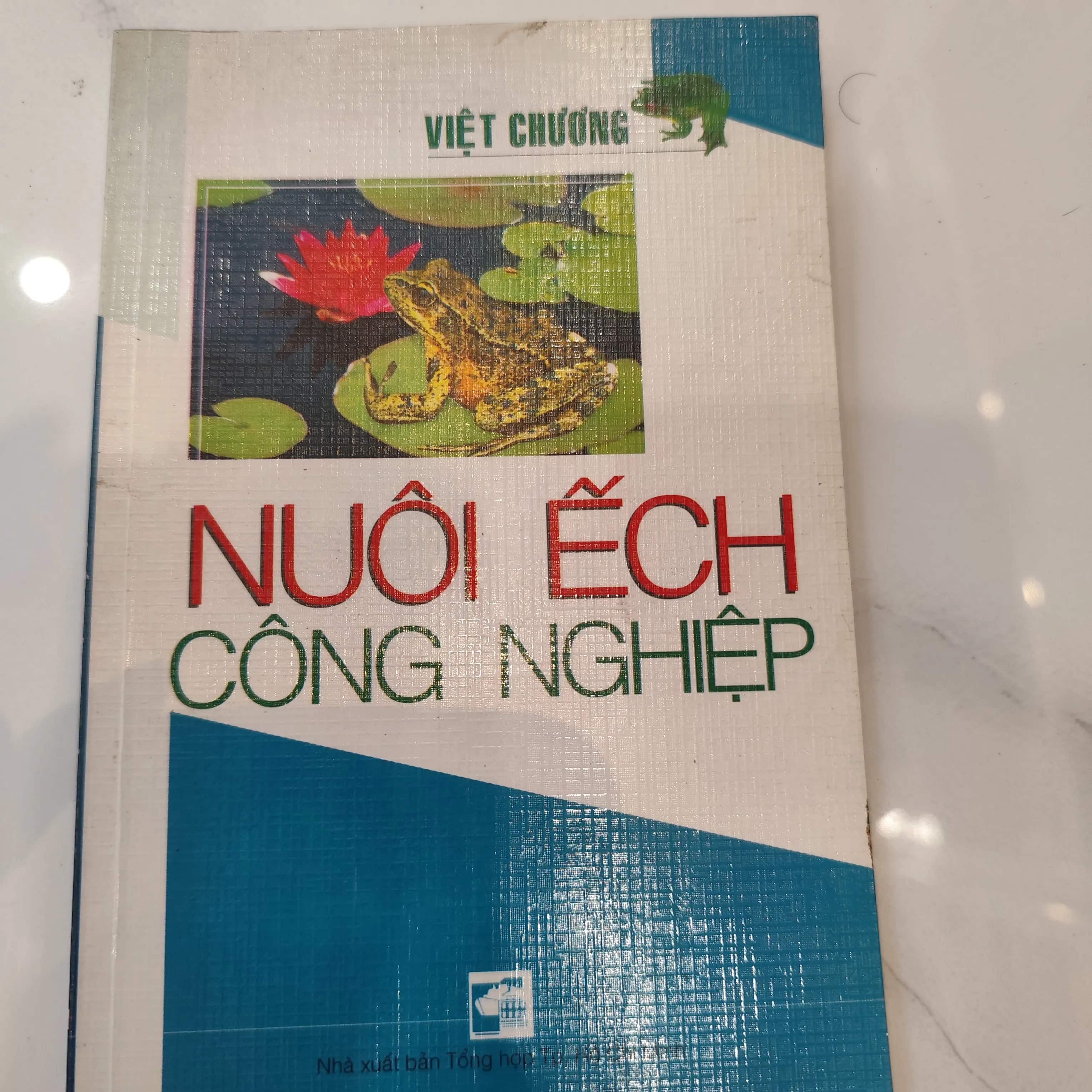 Nuôi ếch công nghiệp
