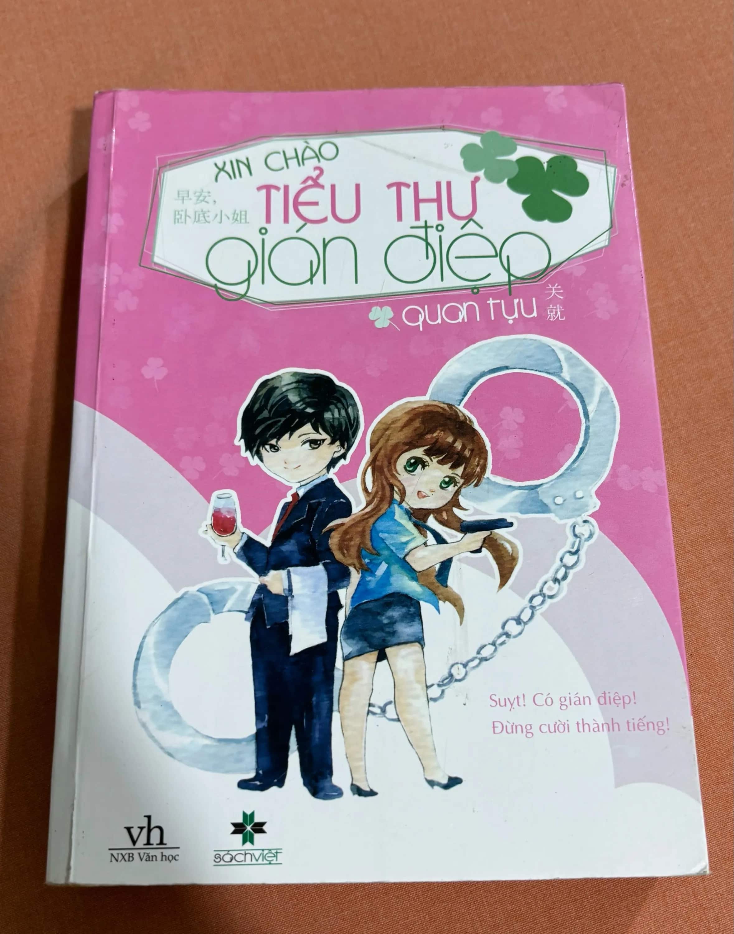 Xin chào tiểu thư gián điệp 