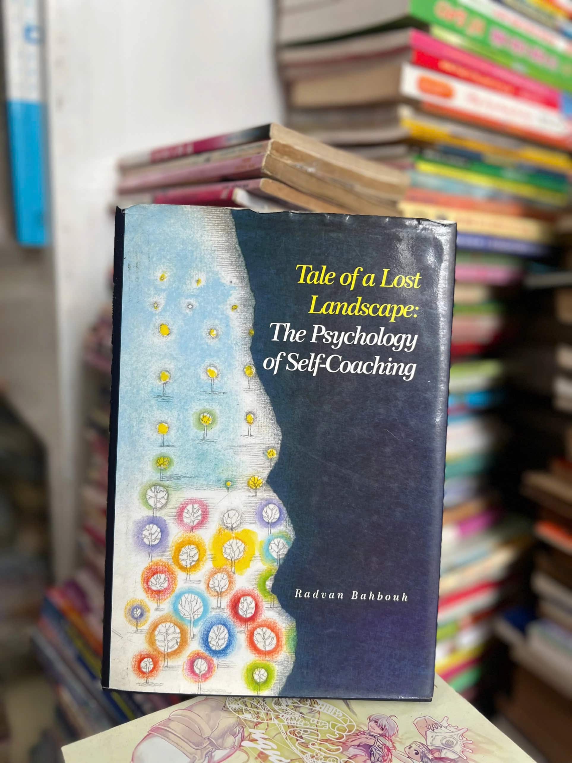 Tale of a Lost Landscape