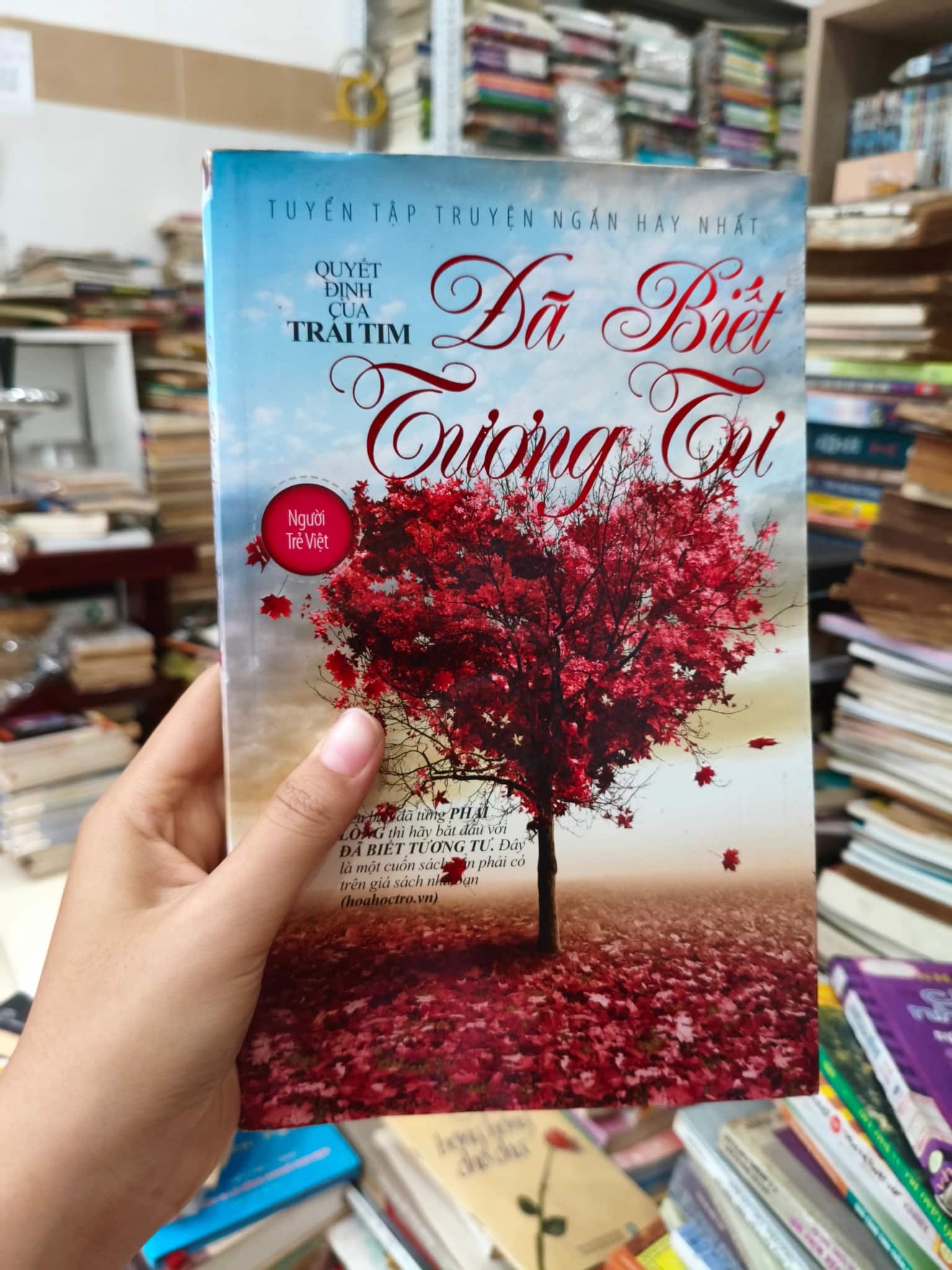 Đã biết tương tư 