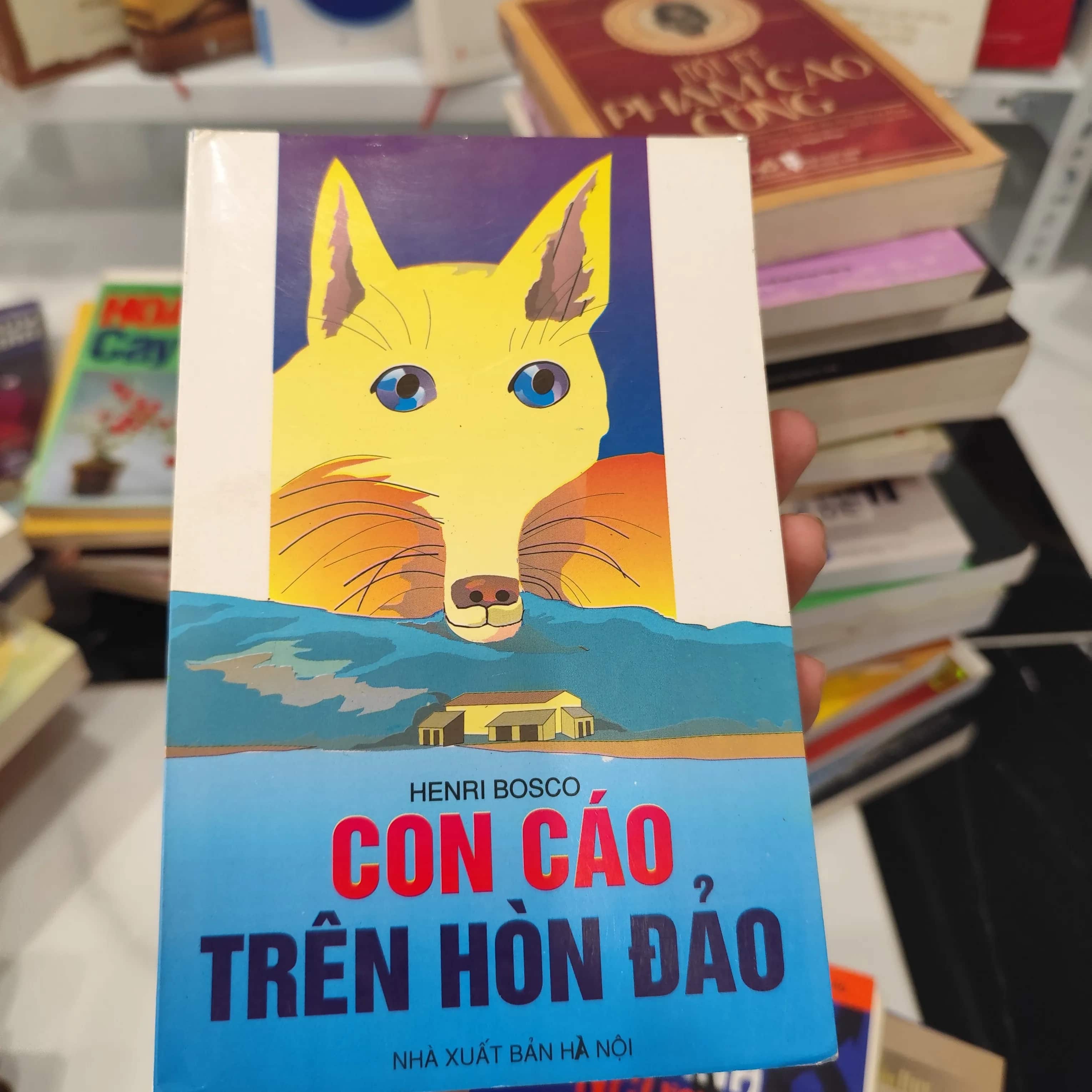Con cáo trên hòn đảo