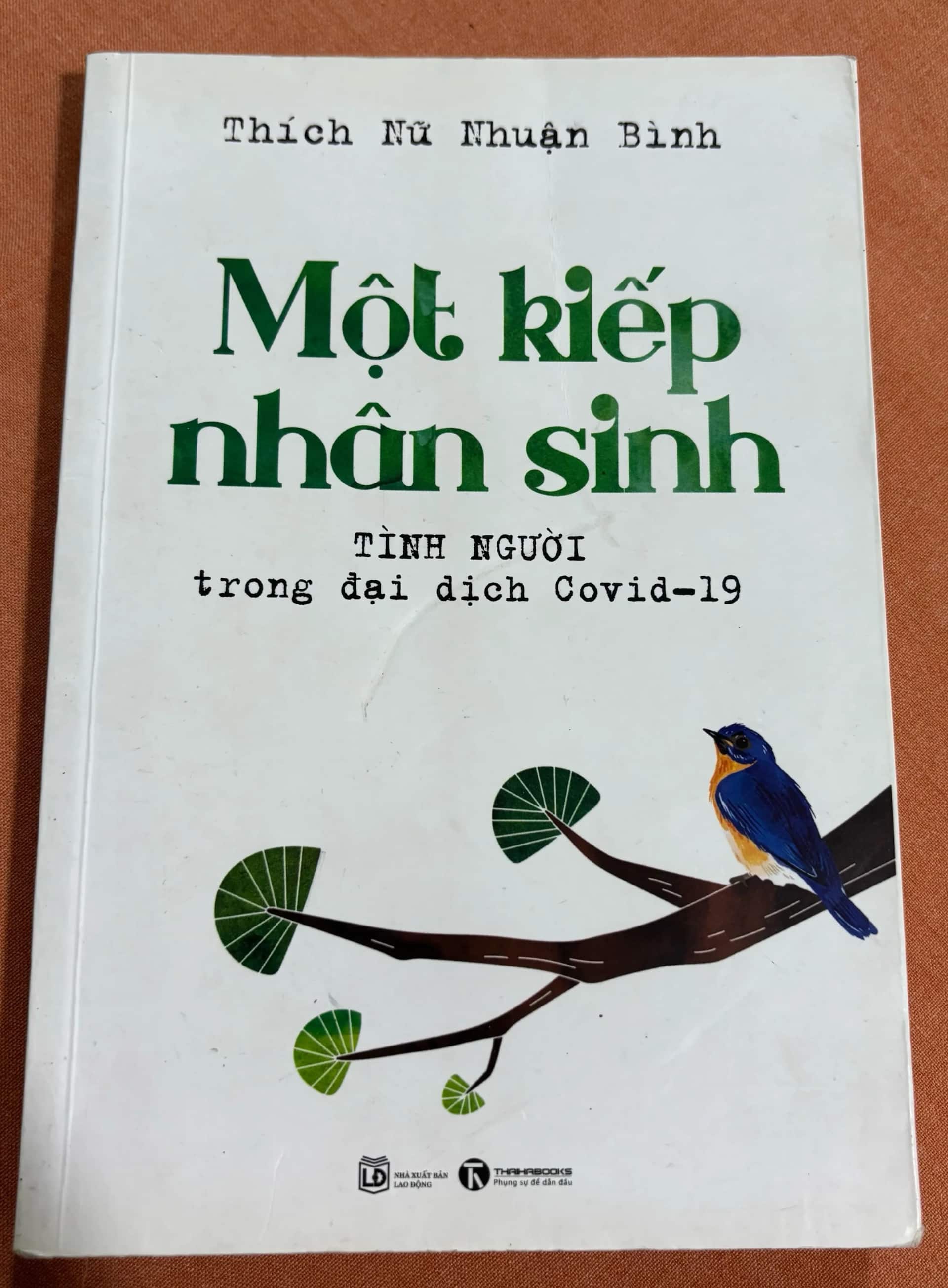 Một kiếp nhân sinh