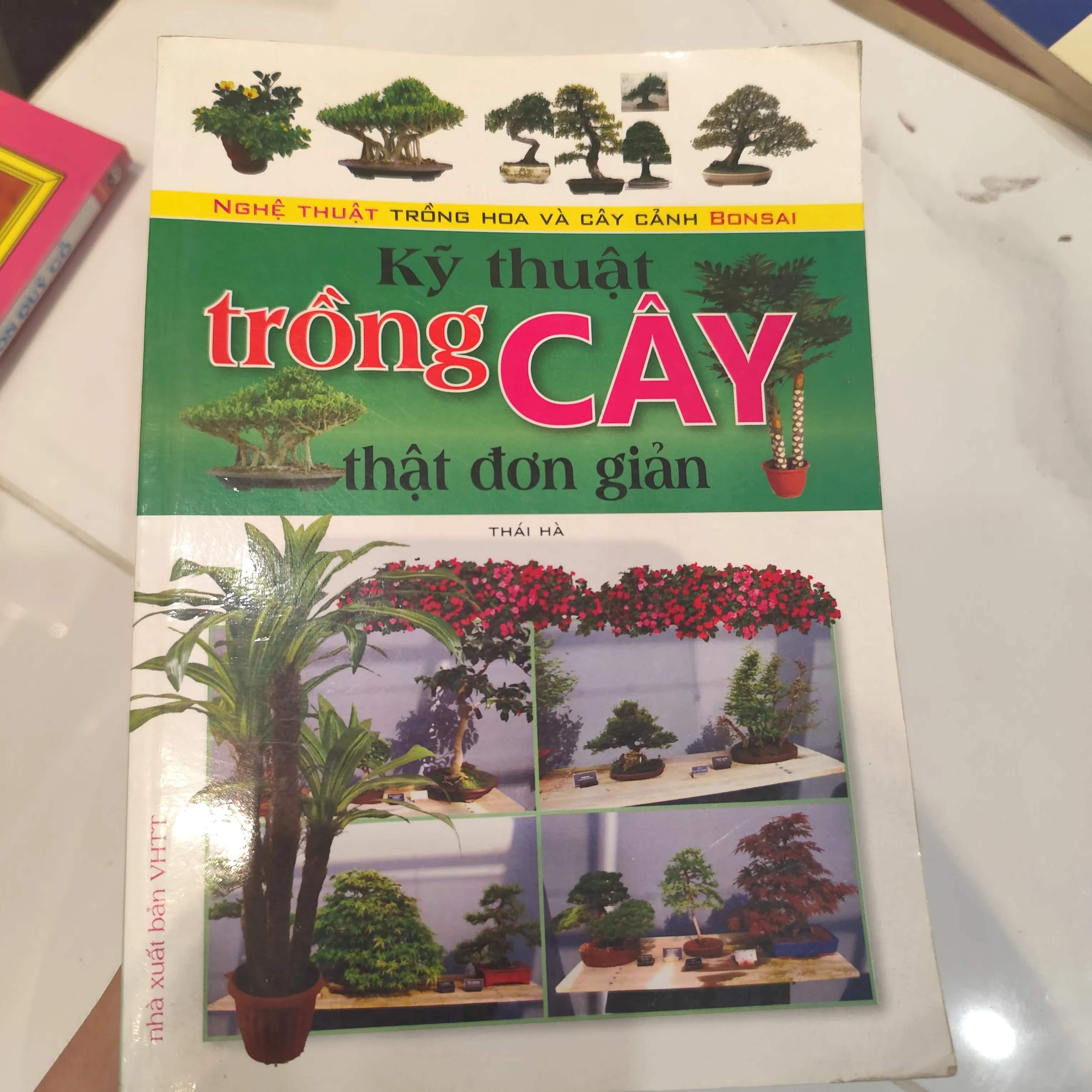 Kỹ thuật trồng cây thật đơn giản