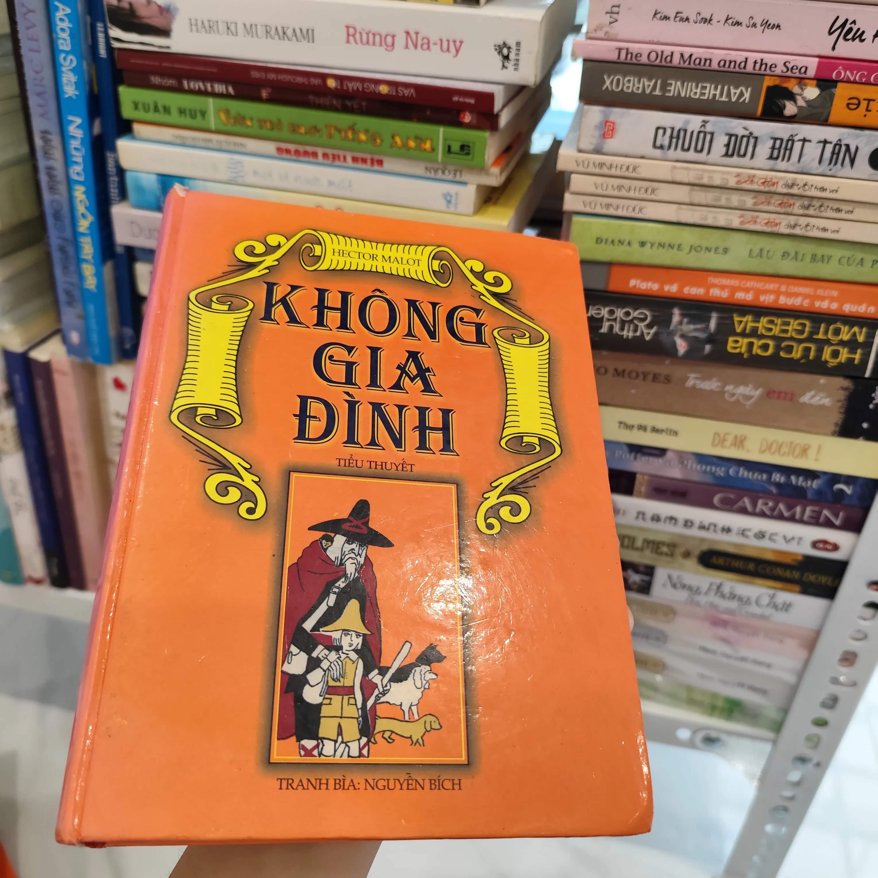 Không gia đình - Tiểu thuyết