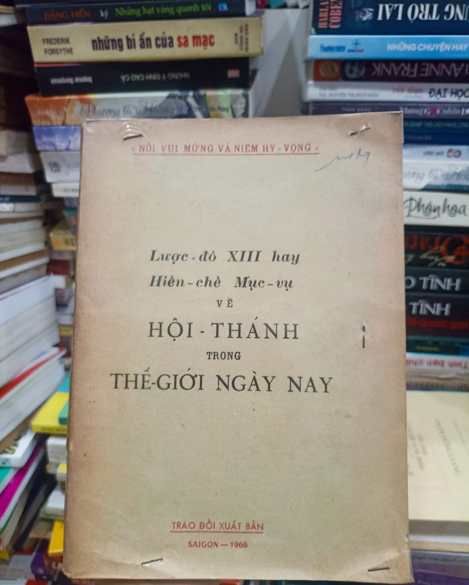 NỔi VUI MỪNG VÀ NIỀM HY VỌNG 