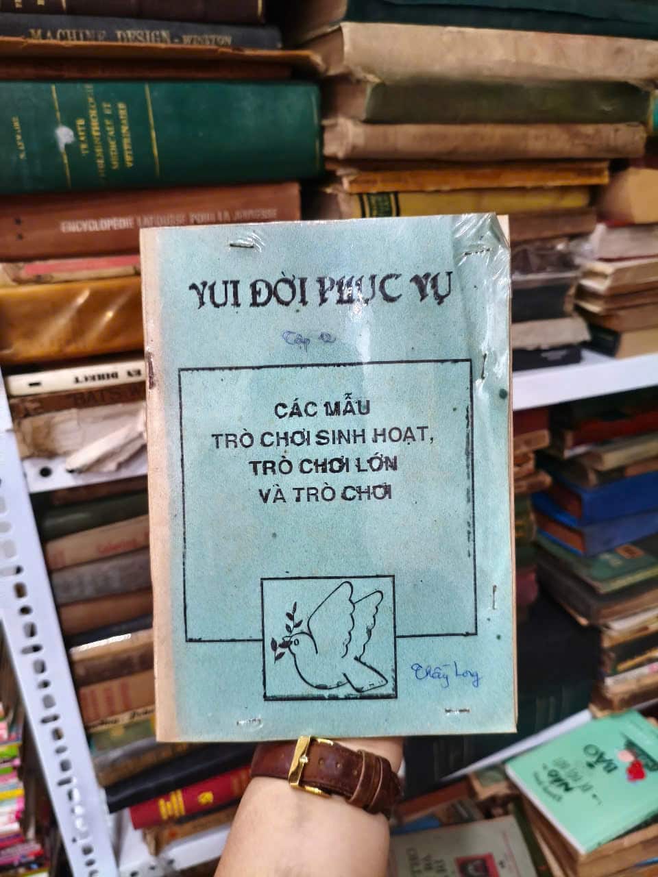 Vui Đời Phục Vụ - Các mẫu trò chơi sinh hoạt, trò chơi lớn và trò chơi
