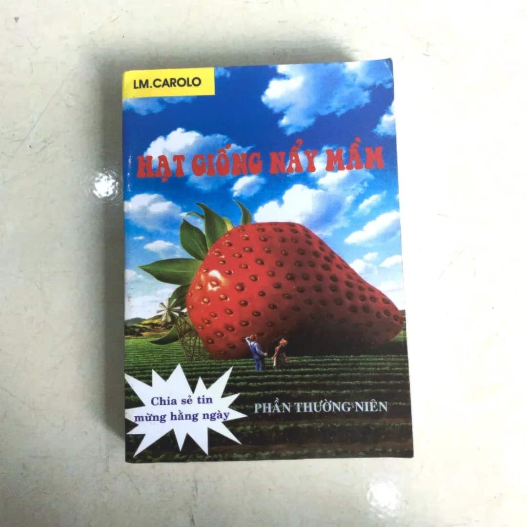 Hạt Giống Nẩy Mầm