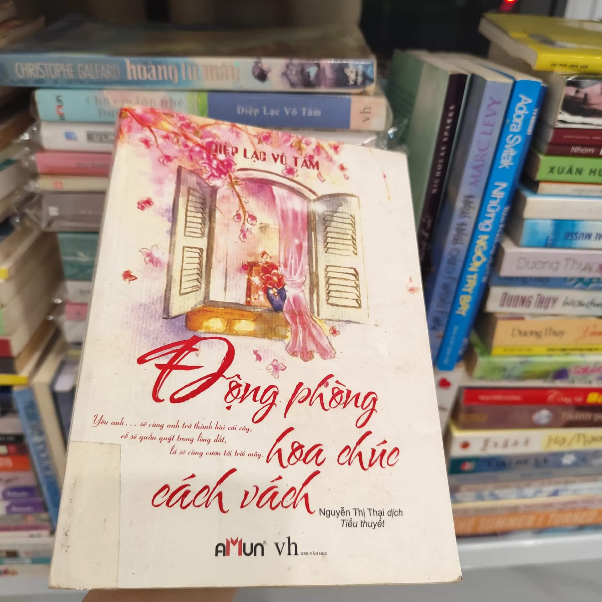 Động phòng hoa chúc cách vách