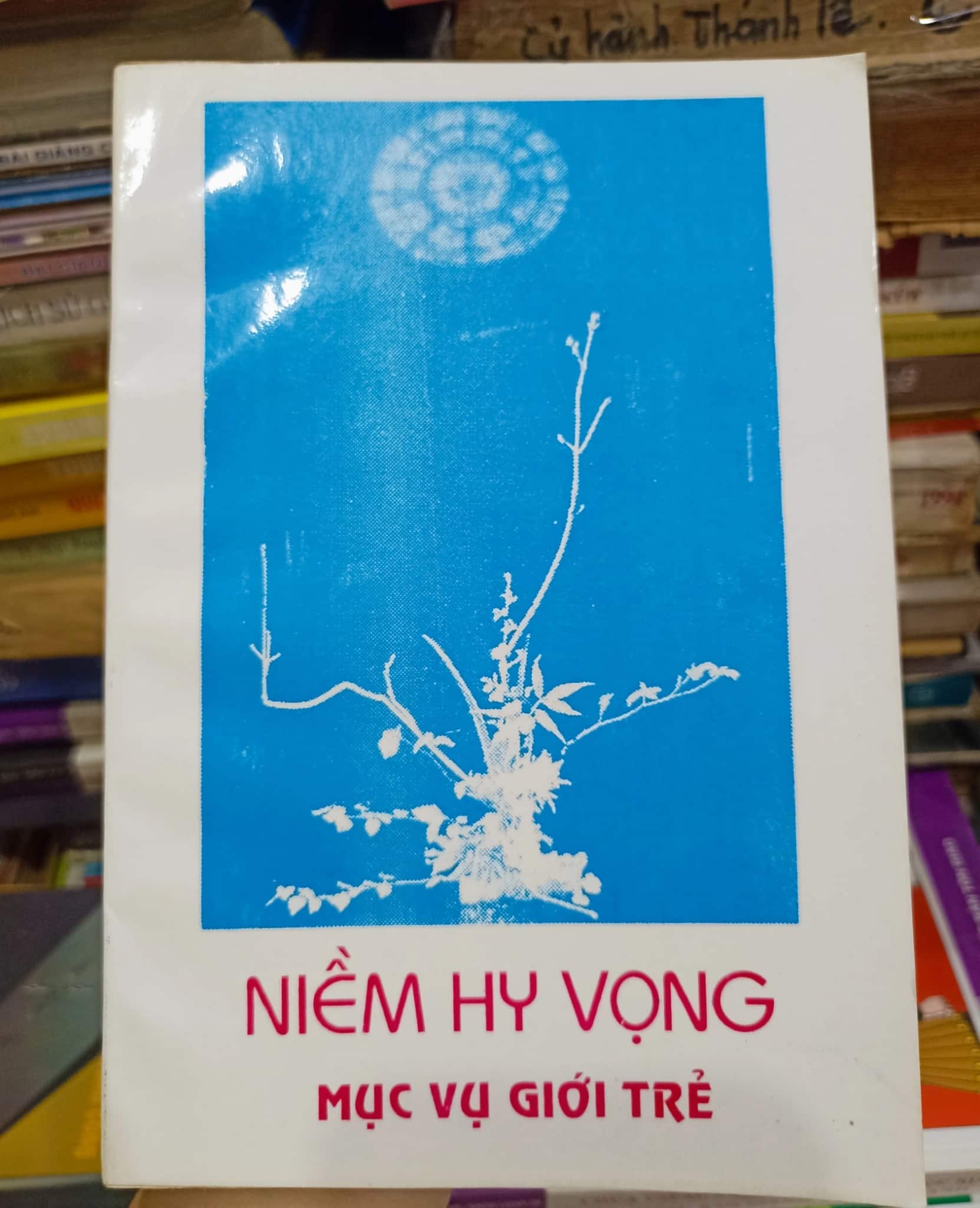 Niềm Hy Vọng Mục Vụ Giới Trẻ