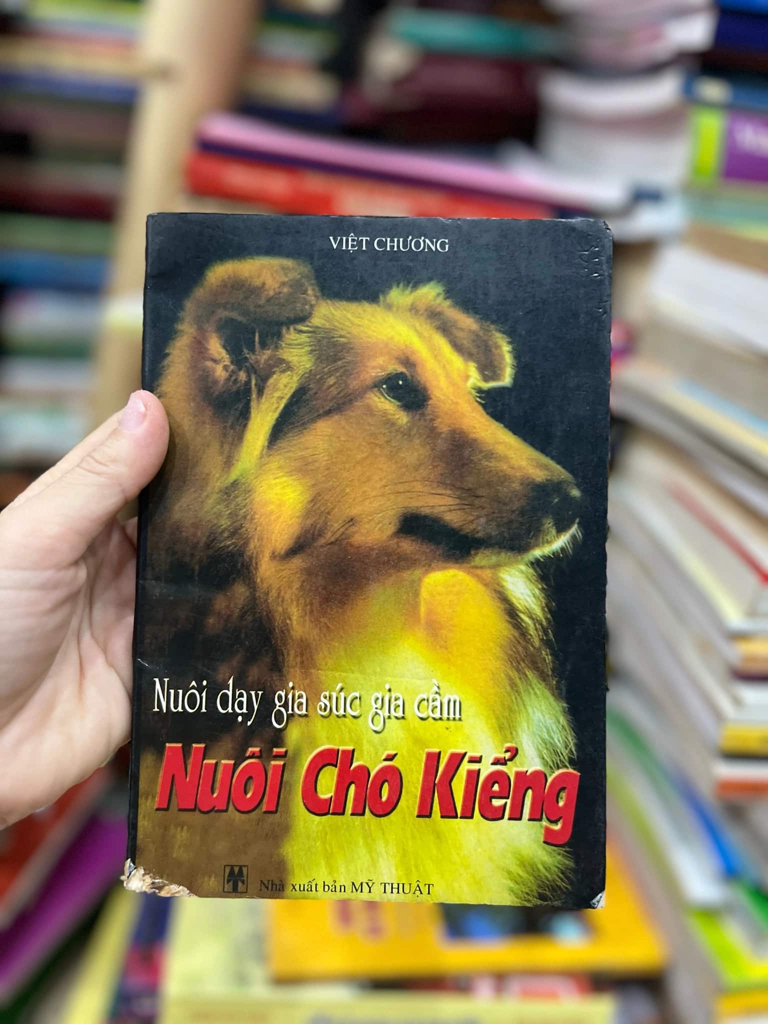 Nuôi chó kiểng