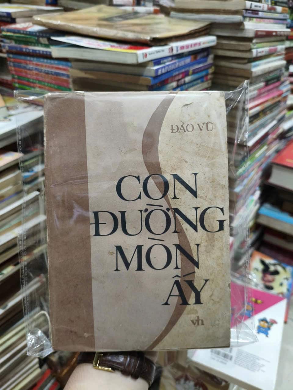 Con Đường Mòn Ấy - Đào Vũ
