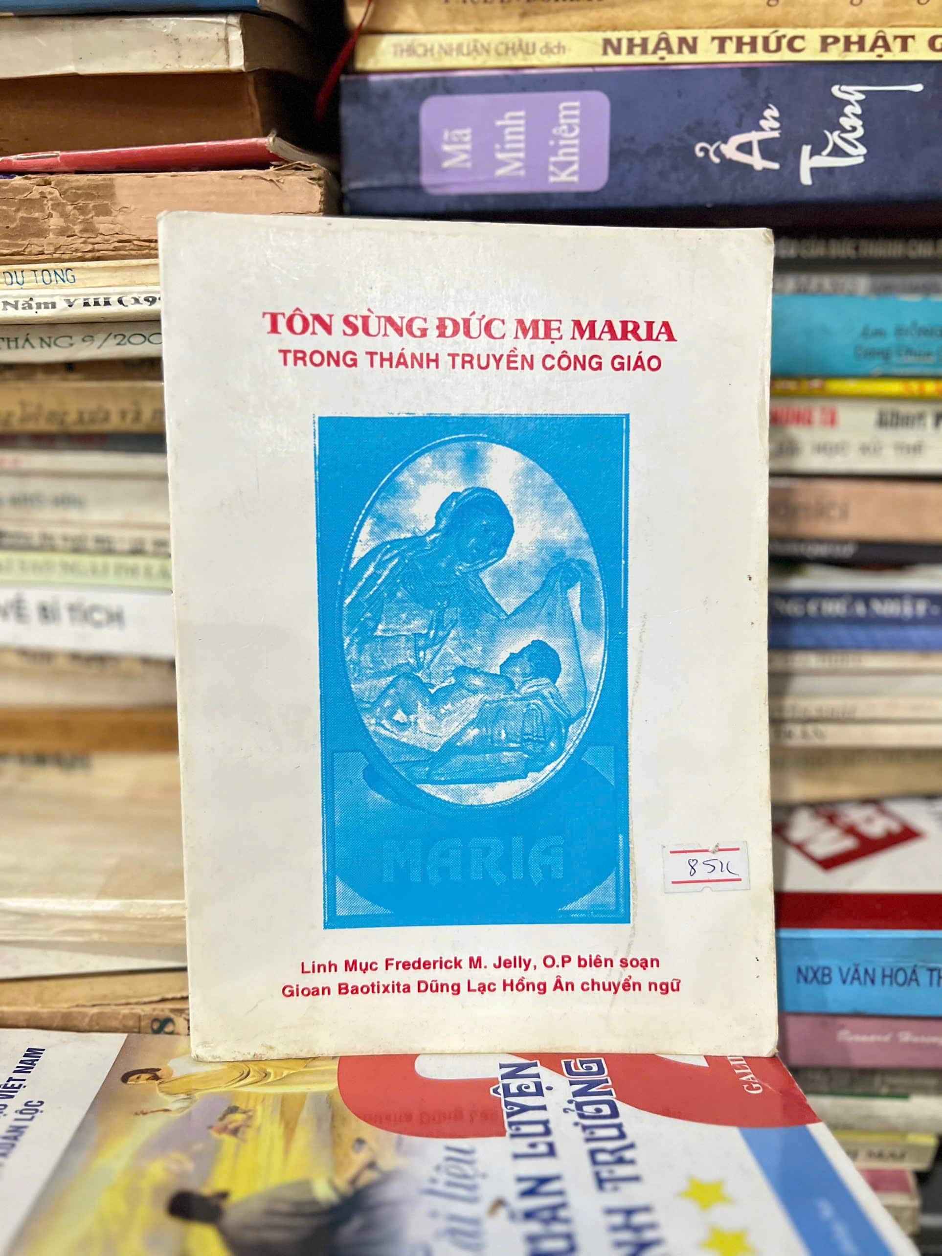 Tôn Sùng Đức Mẹ Maria Trong Thánh Truyền Công Giáo