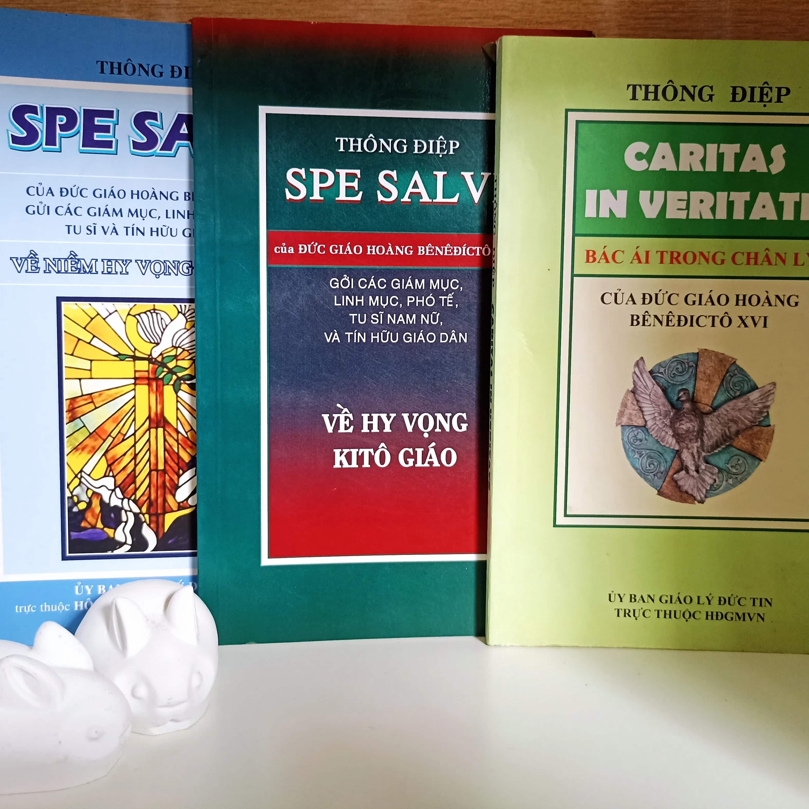 Combo 3 cuốn Thông của ĐGH Benêđíctô XVI 