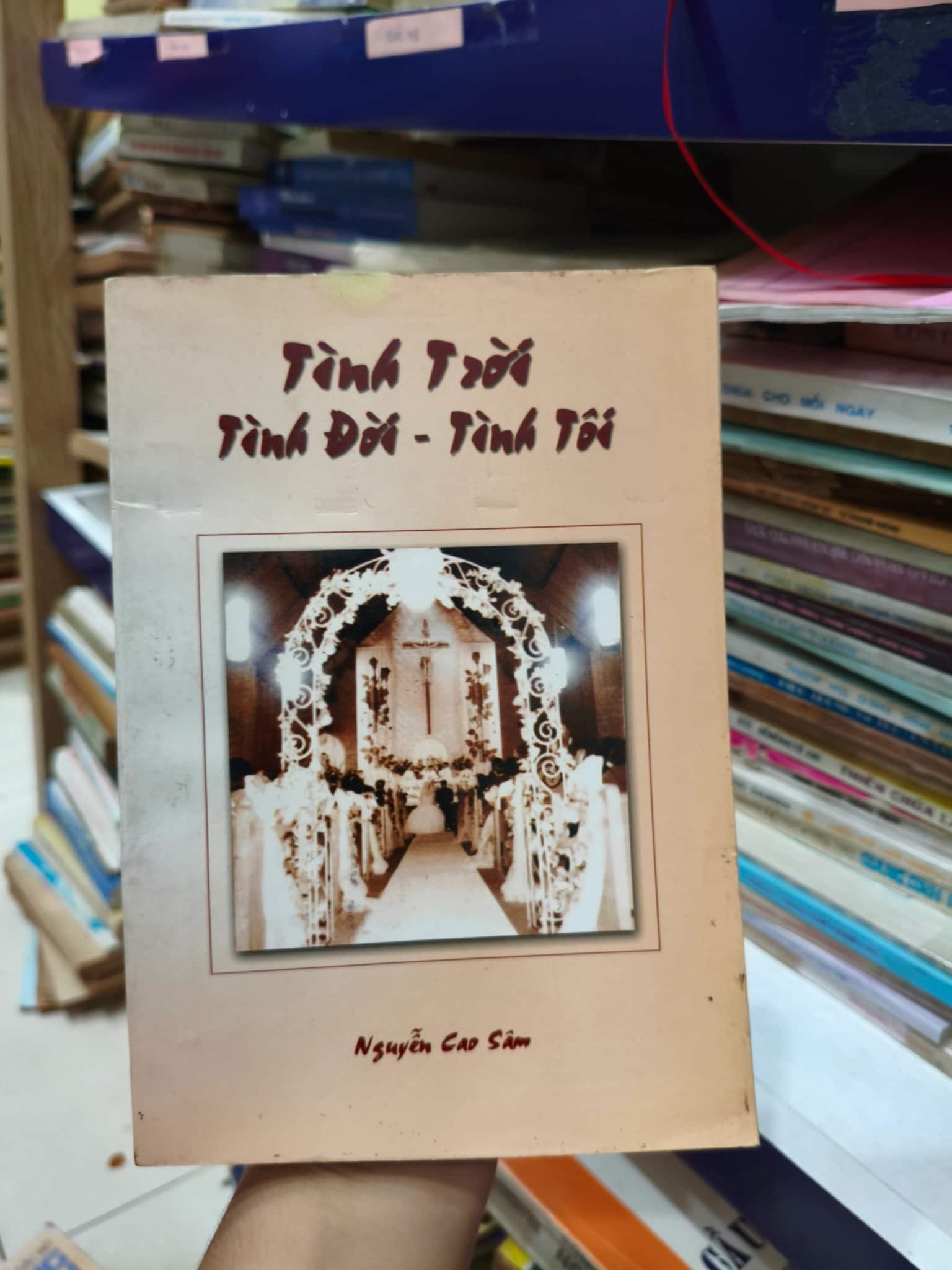 Tình trời tình đời tình tôi 