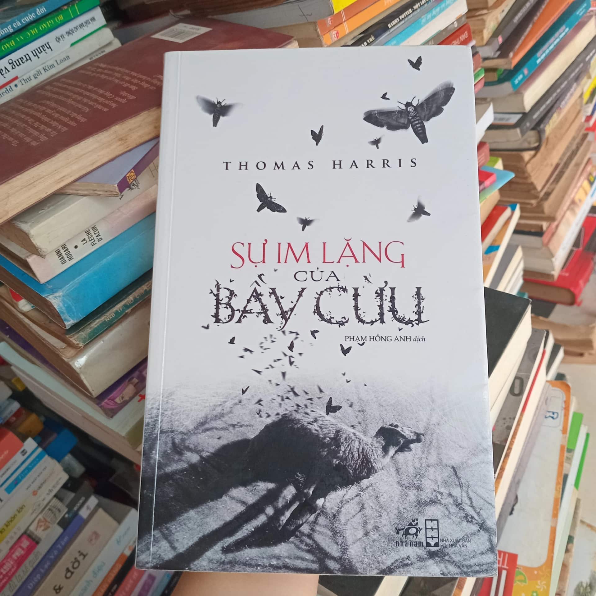 Sự im lặng của bầy cừu