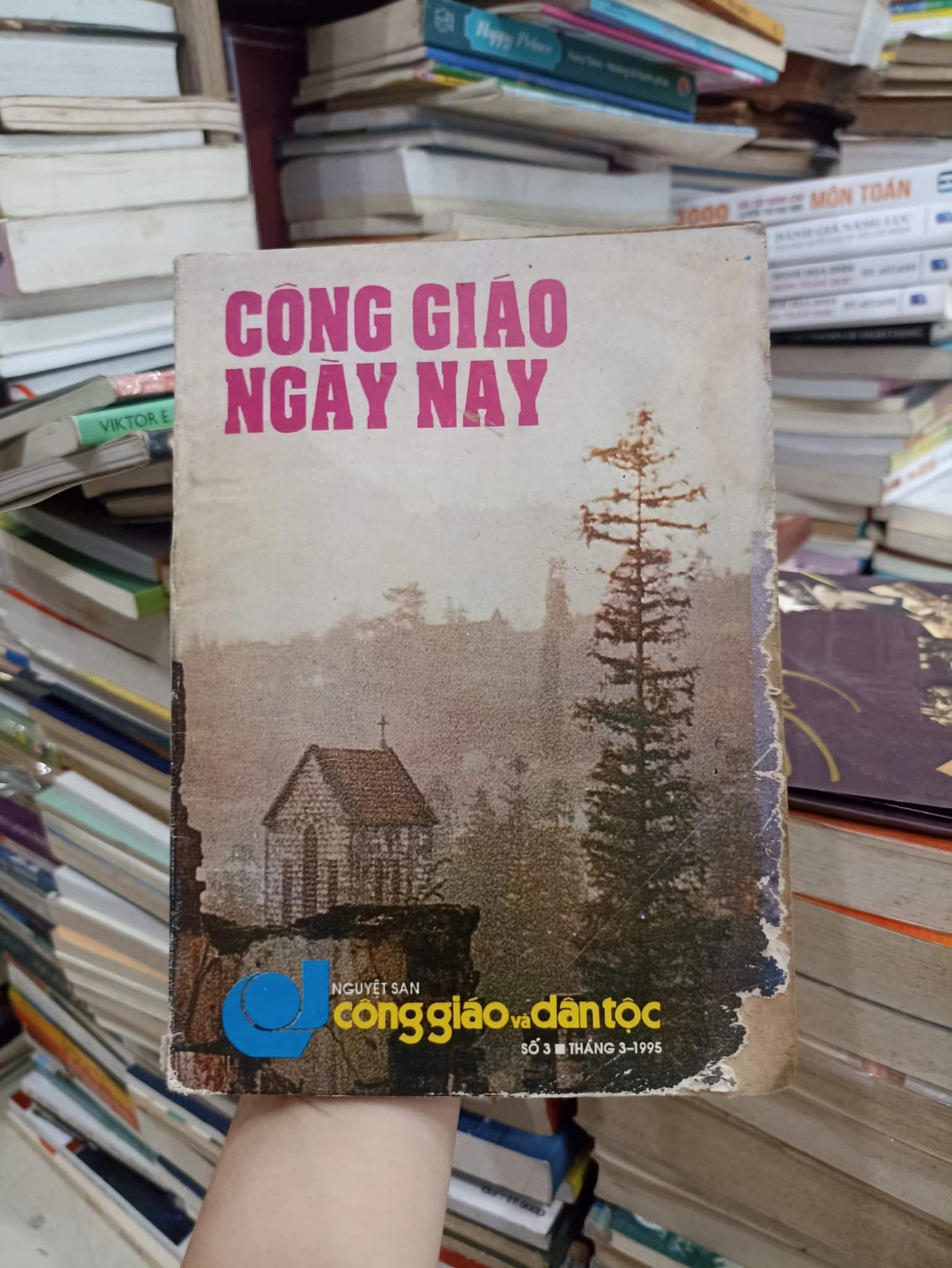 Công Giáo Ngày Nay