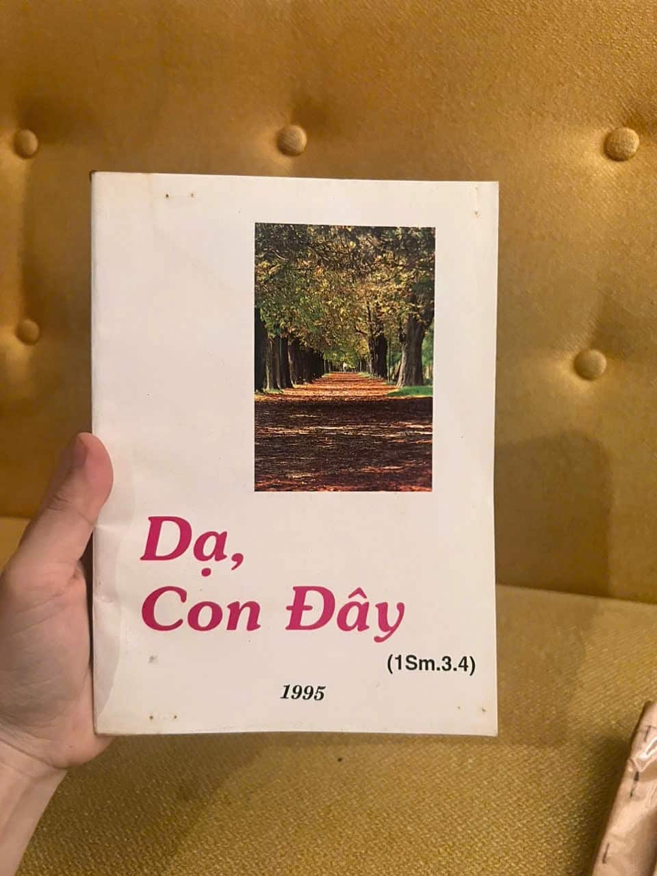 Dạ, con đây