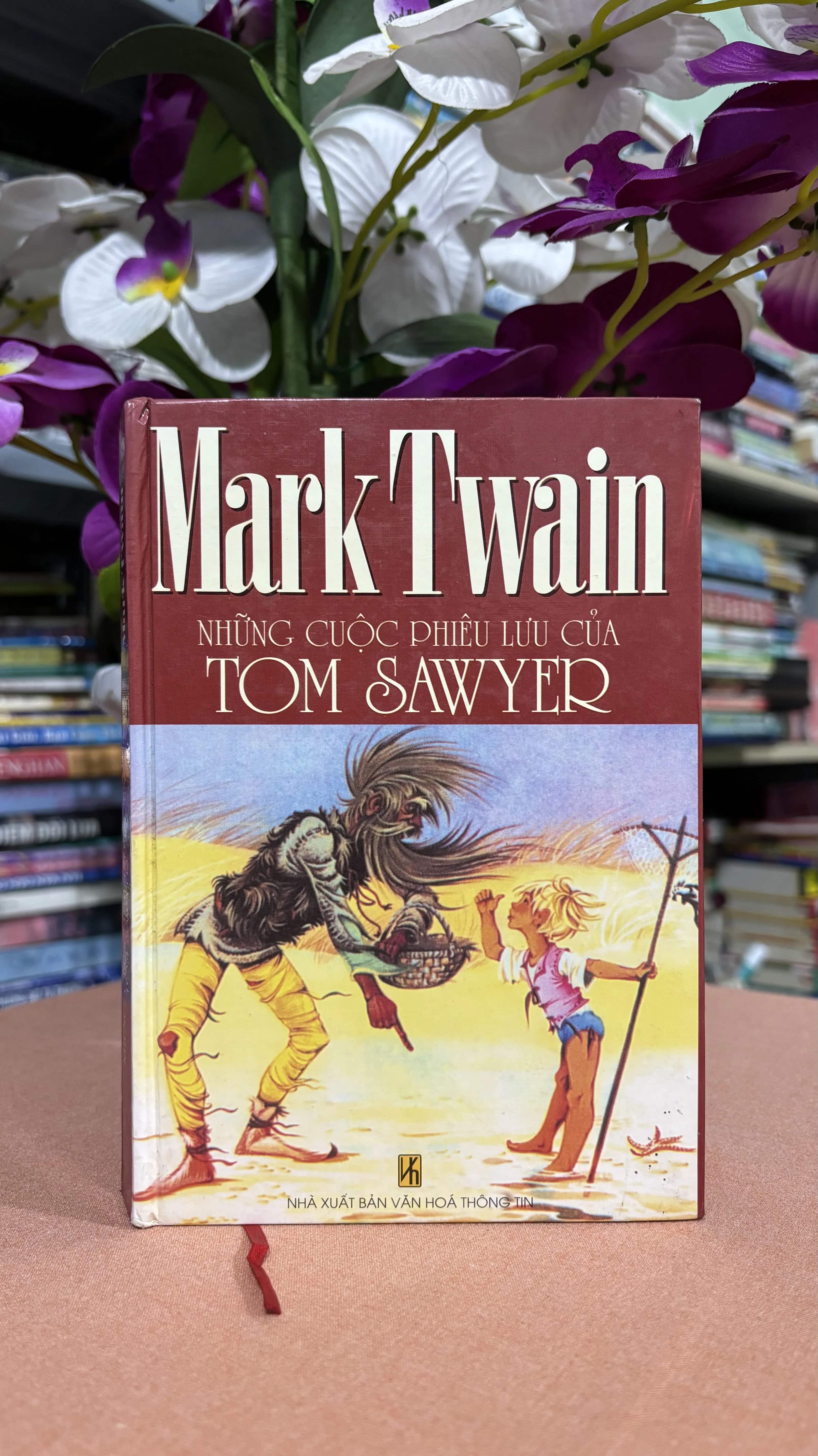 Những cuộc phiêu lưu của Tom Sawyer 