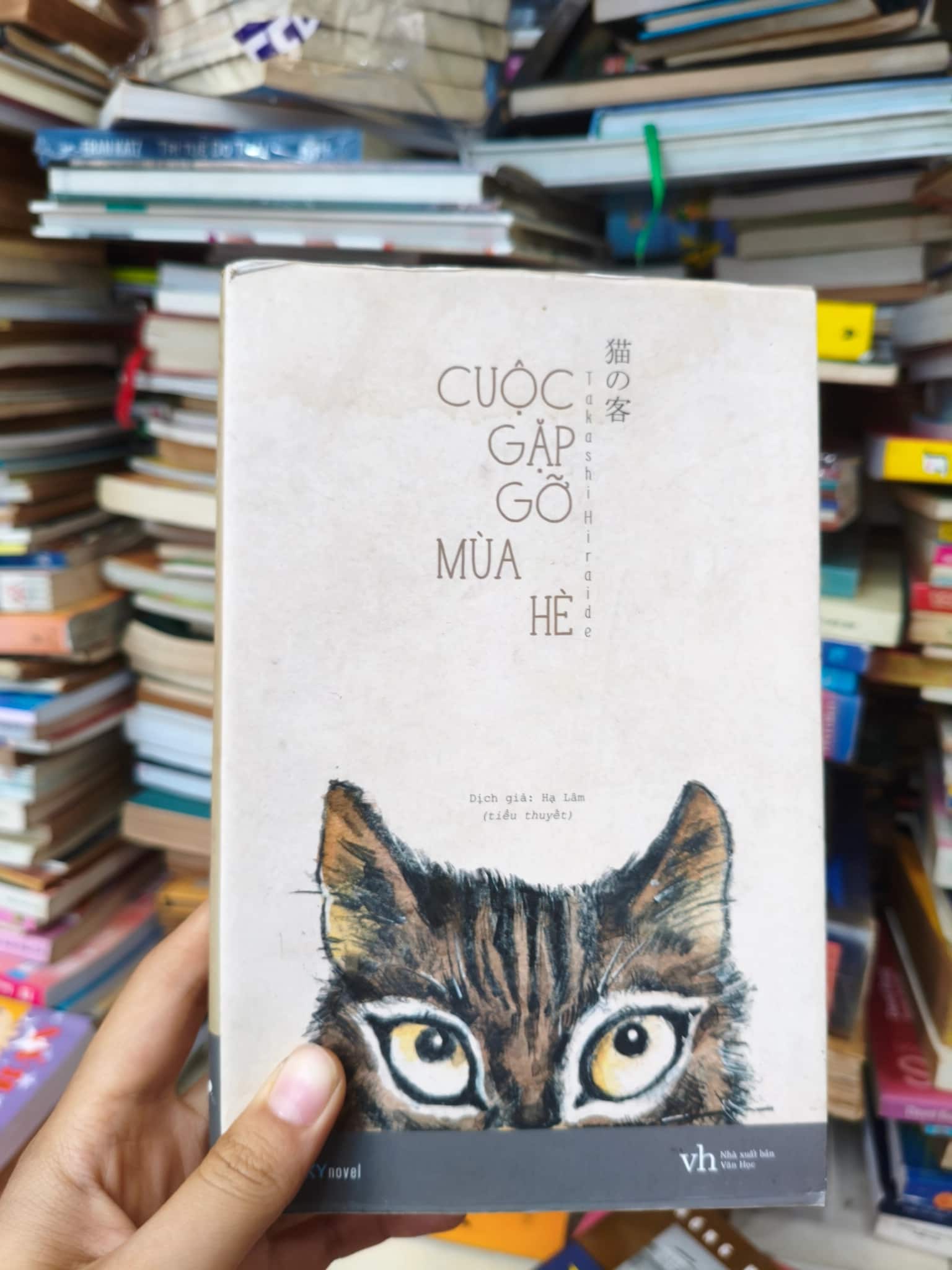 Cuộc gặp gỡ mùa hè