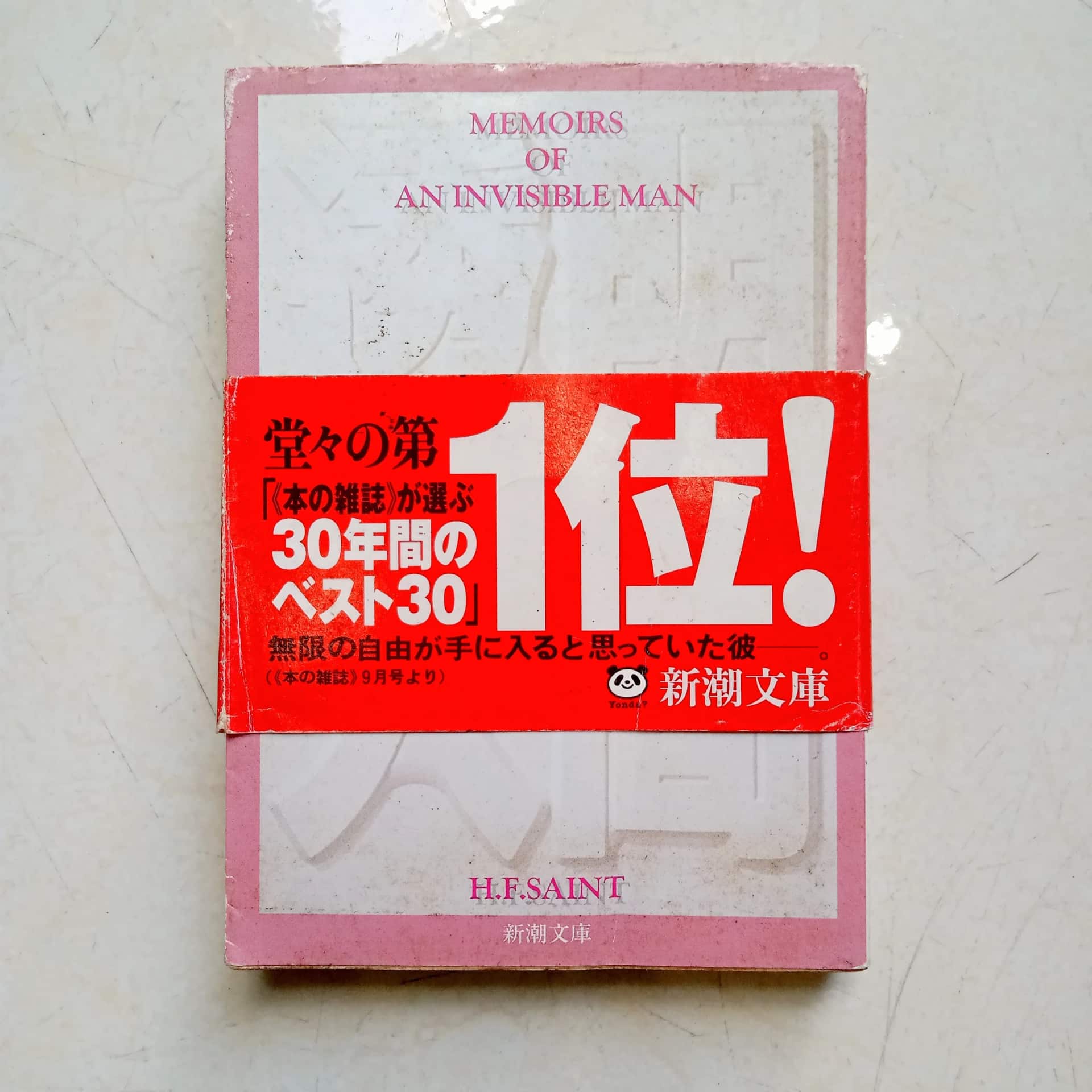 Memoirs of an Invisible Man